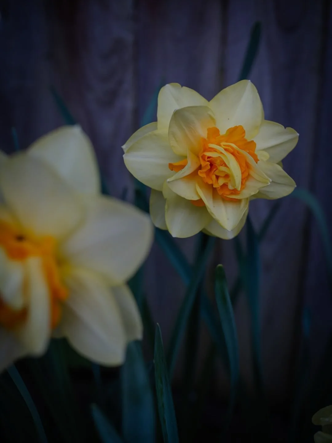 🌿&nbsp;Perhaps you have felt this too, the moment you knew I needed to live differently?

For me, it wasn&rsquo;t sudden, and yet it hit me all at once.

After years spent retreating indoors, away from the life I&rsquo;d once known - a carefree chil