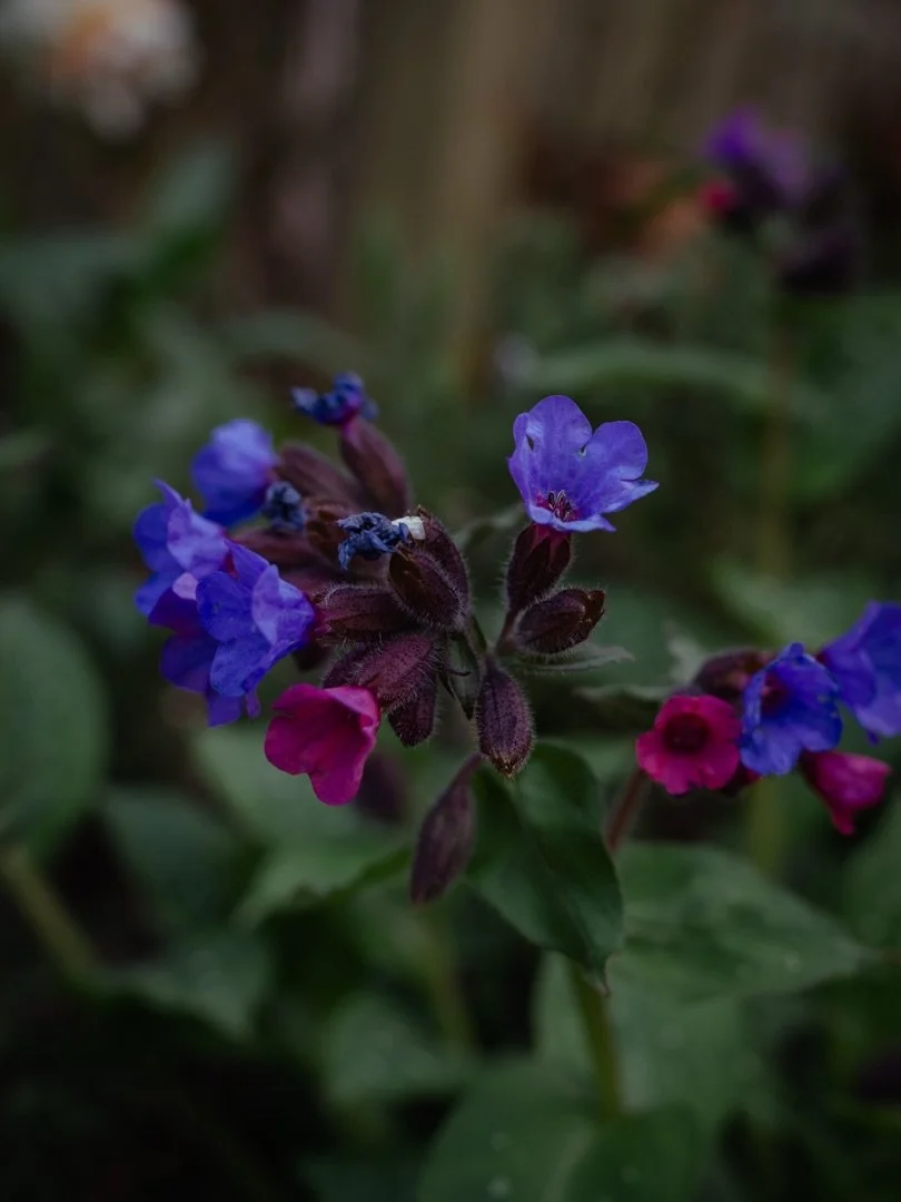 🧵&nbsp;When I think of a word which embodies the online communities in which I find myself, it&rsquo;s tapestry.

Whether it&rsquo;s on the A Life More Creative website, on Instagram, or in my Rediscover &middot; Reconnect &middot; Re-Emerge communi