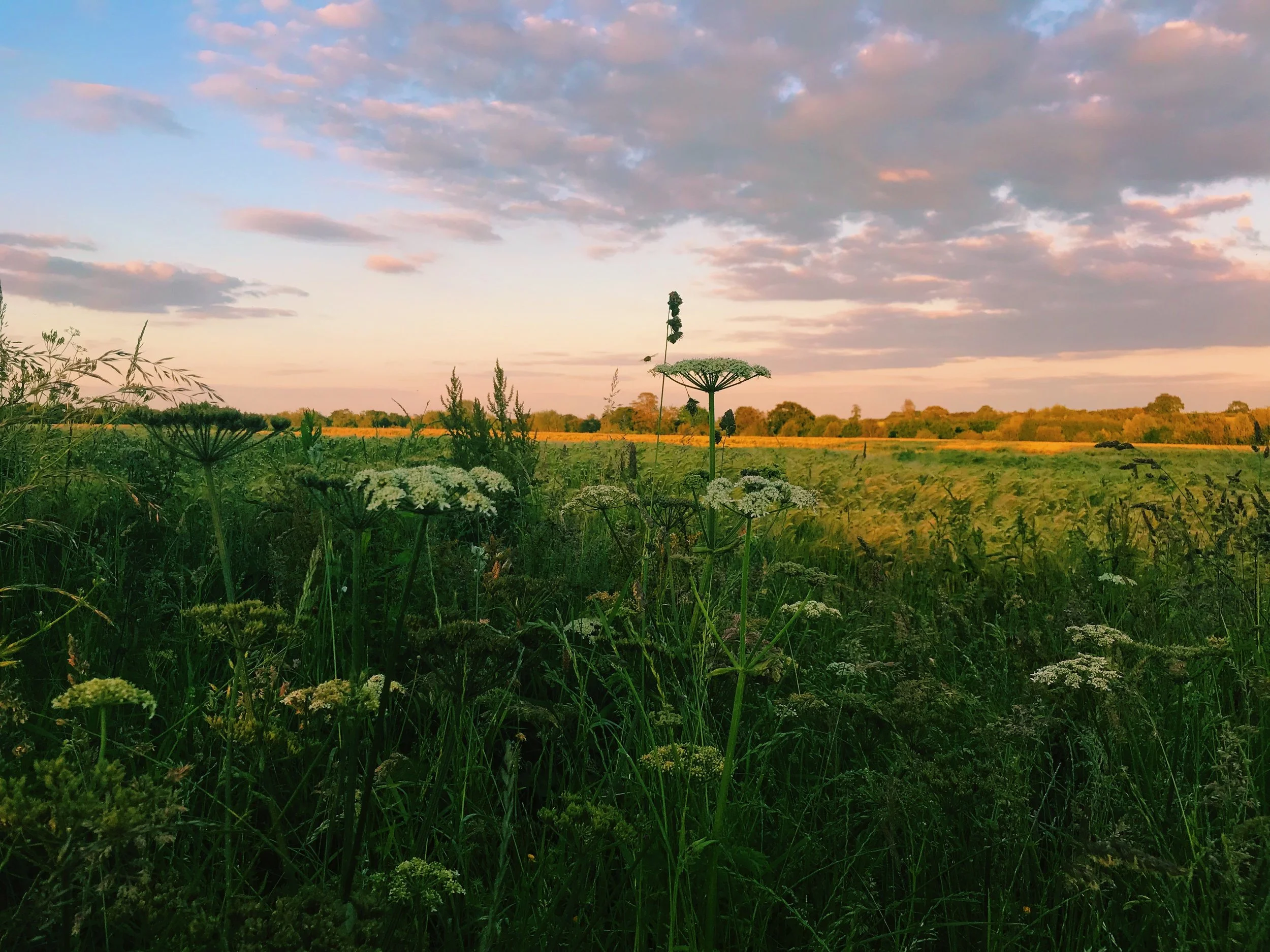 What I’ve Learned on My Slow Living Journey