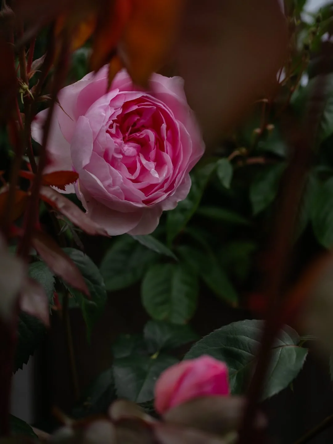 🌿&nbsp;Do you find inspiration, or does it find you?

I wrote on Monday about a question I&rsquo;ve been sitting with recently - what and who inspires me?

There are times when things appear on the horizon which inspire me deeply.

They might be thi