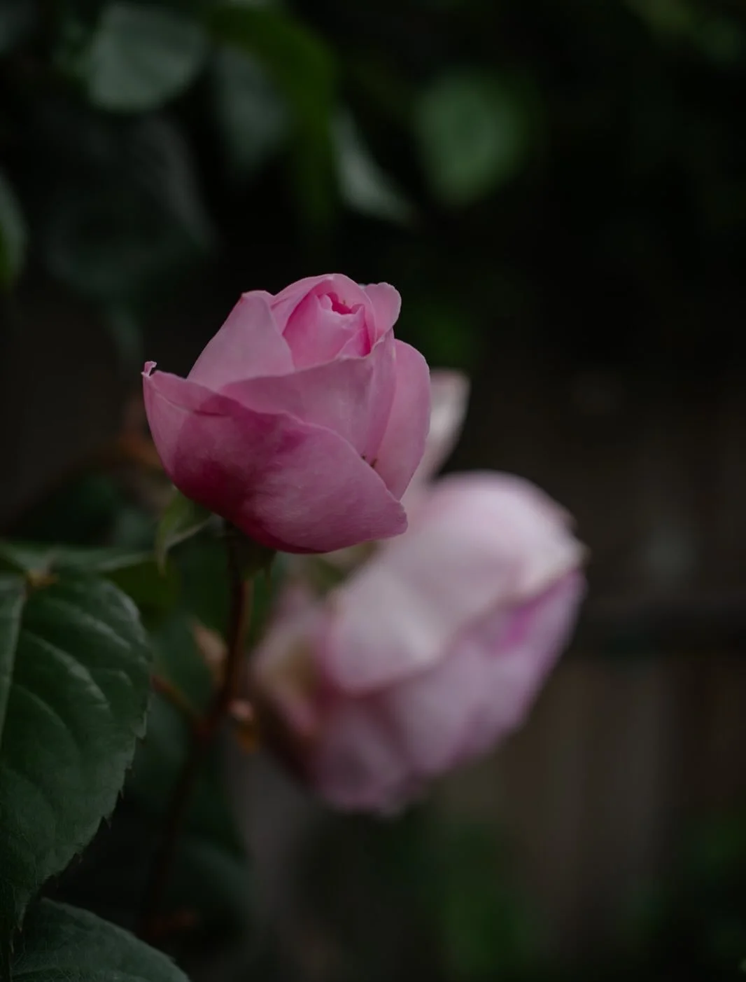 🌱 It wasn&rsquo;t intentional, but this week, my posts have turned into a little series - perhaps there&rsquo;s something deeper at play?

Maybe a seed is growing.

Having thought about what and who inspires us, I wrote about the sort of deep, unexp