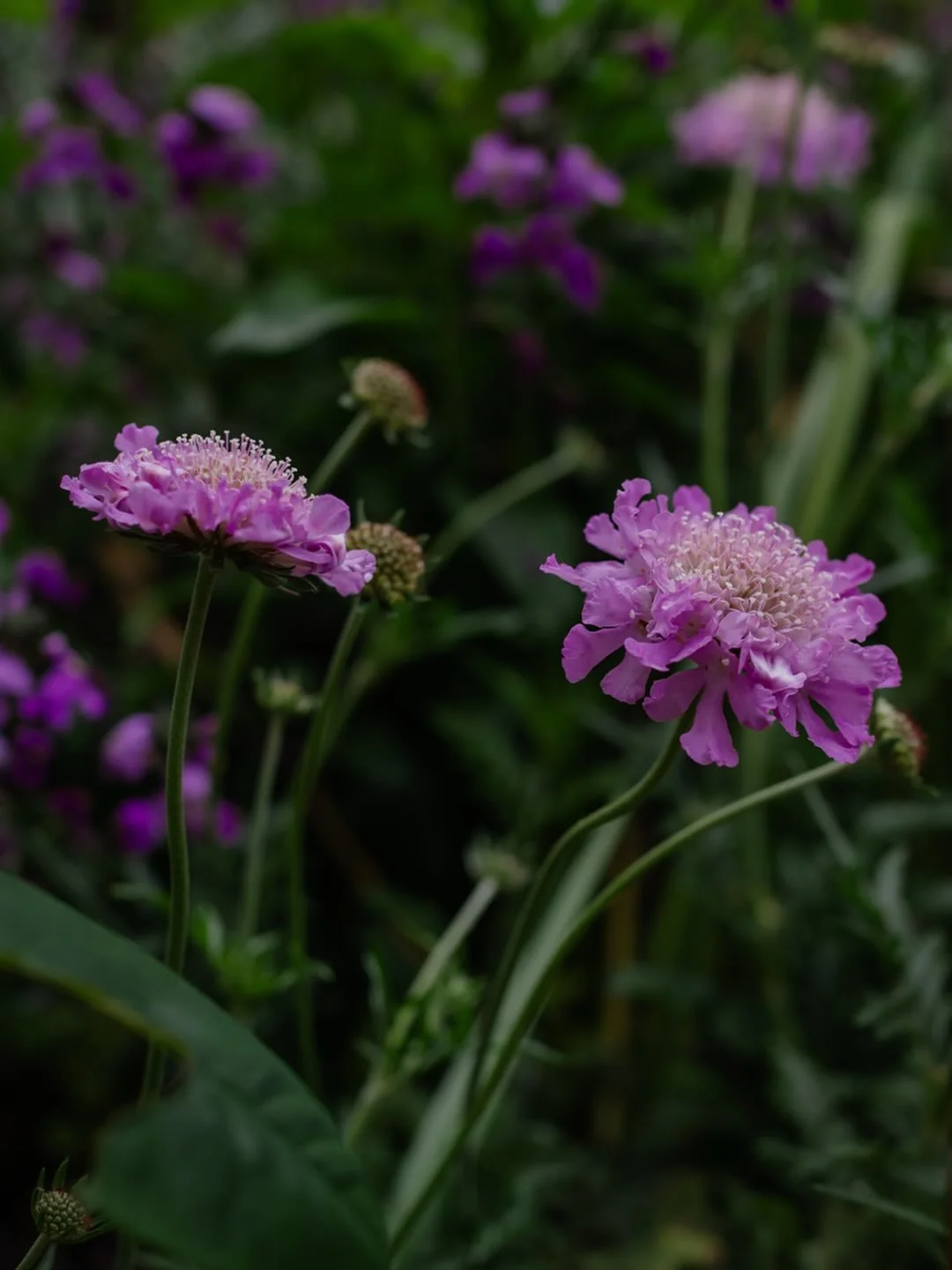 🌾 There&rsquo;s something I&rsquo;ve been noticing lately about how we gather ideas online.

We often pass through them quickly - a thought, a quote, a moment - and then we&rsquo;re already on to the next thing.

But some ideas don&rsquo;t really wa