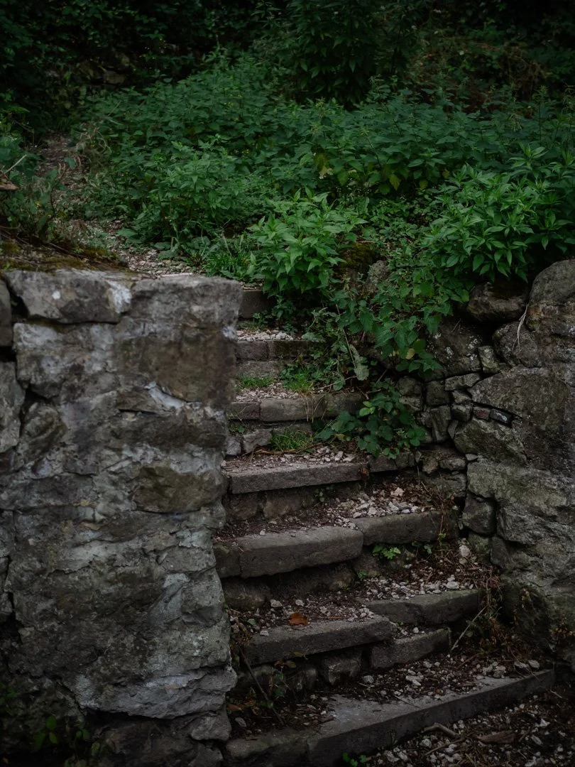 Stone steps leading into woodland in Derbyshire, evoking a quiet slow living journey.