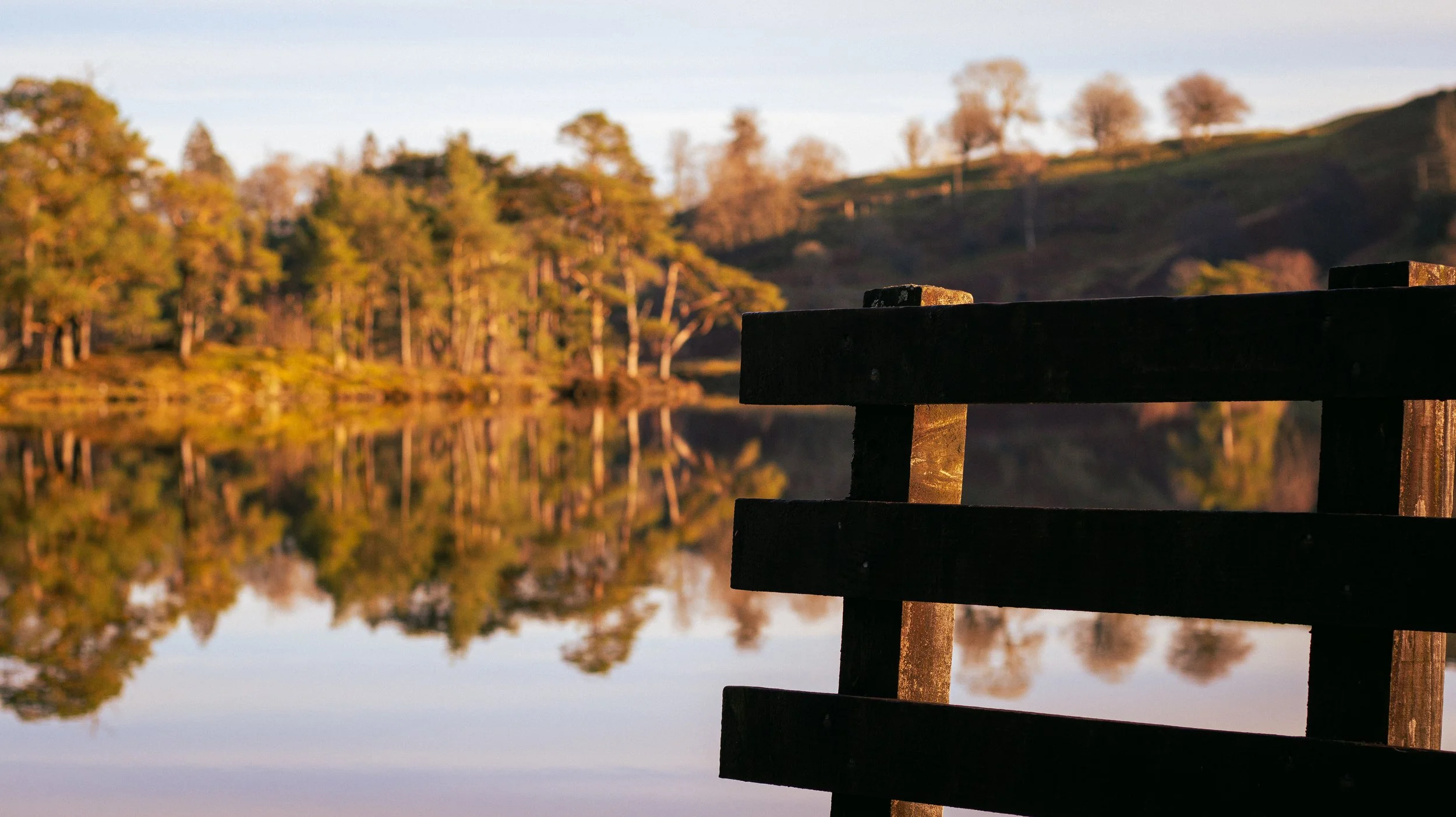 Calm lake surrounded by golden autumn trees, peaceful seasonal living landscape