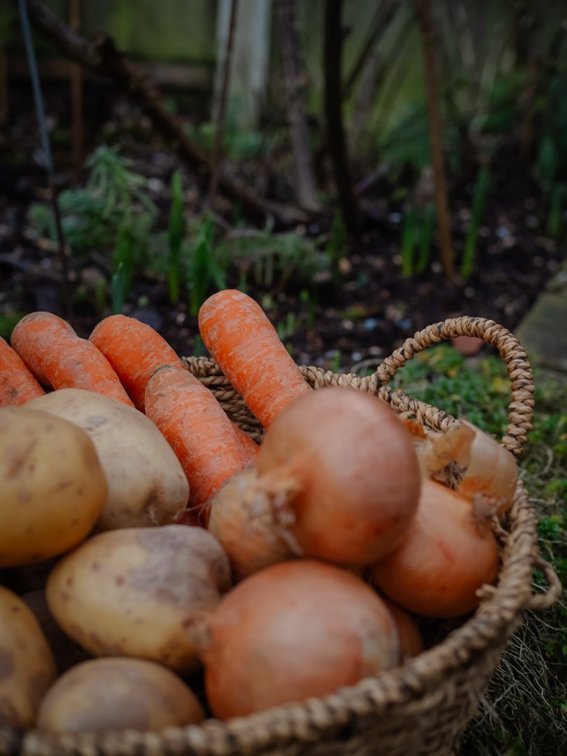 Close-up of seasonal root vegetables — carrots, onions and potatoes — celebrating simple, seasonal food.