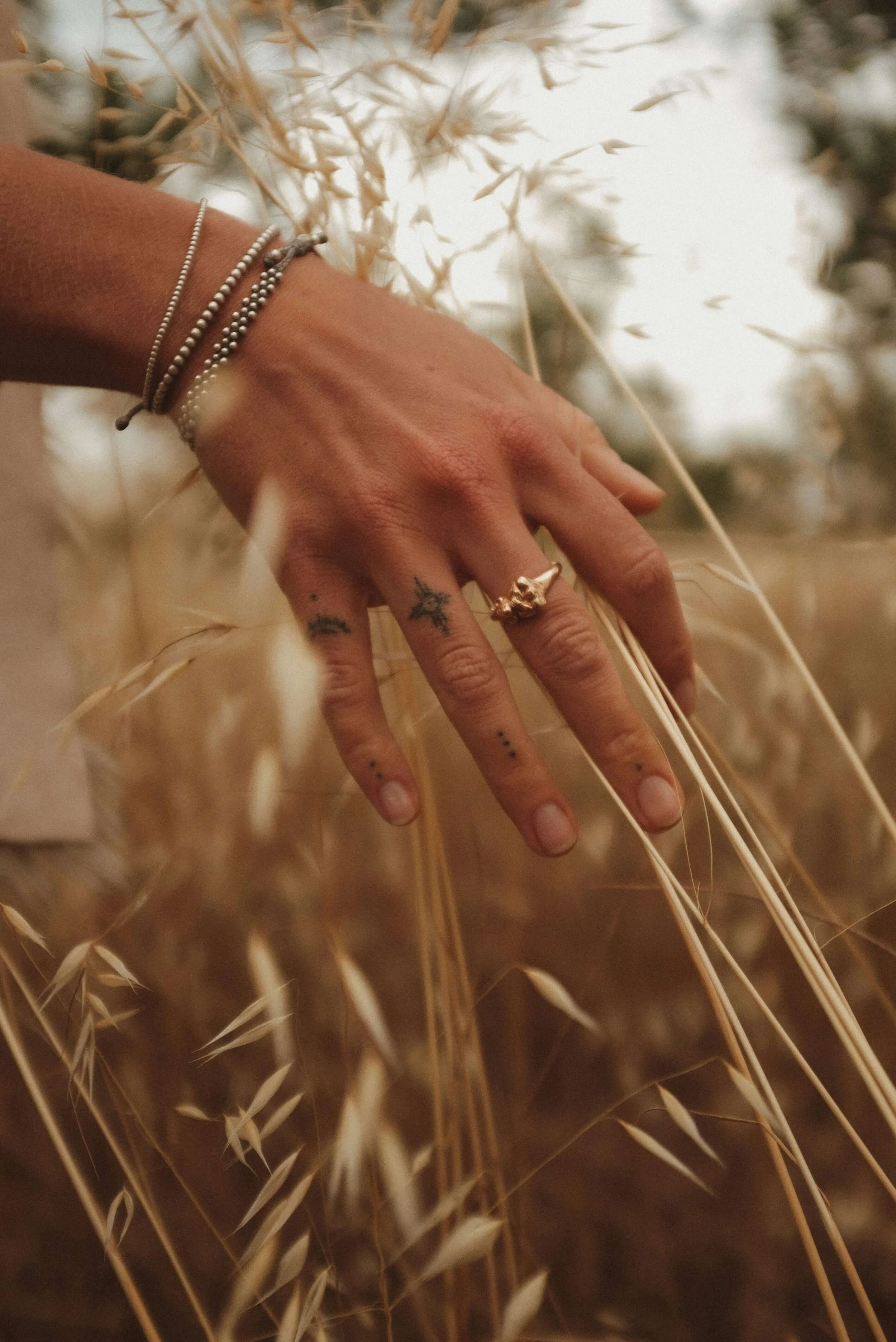 Verena Borell’s hand gently touching grass in warm autumn light, symbolising connection with nature and embodied living.