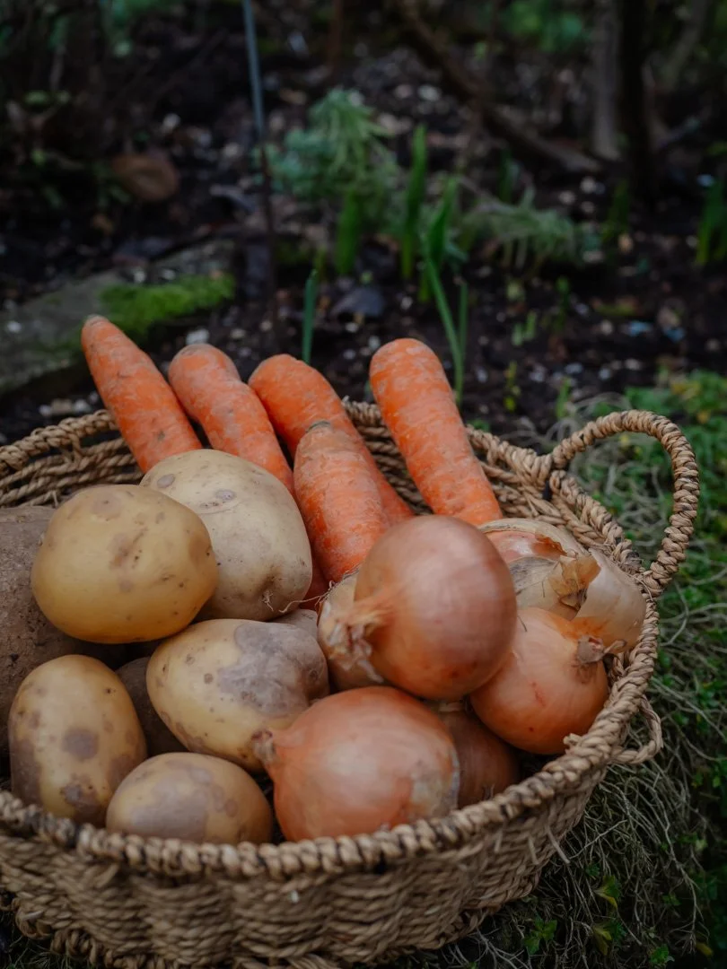 A basket of seasonal vegetables including carrots, onions and potatoes, photographed outdoors in natural light.
