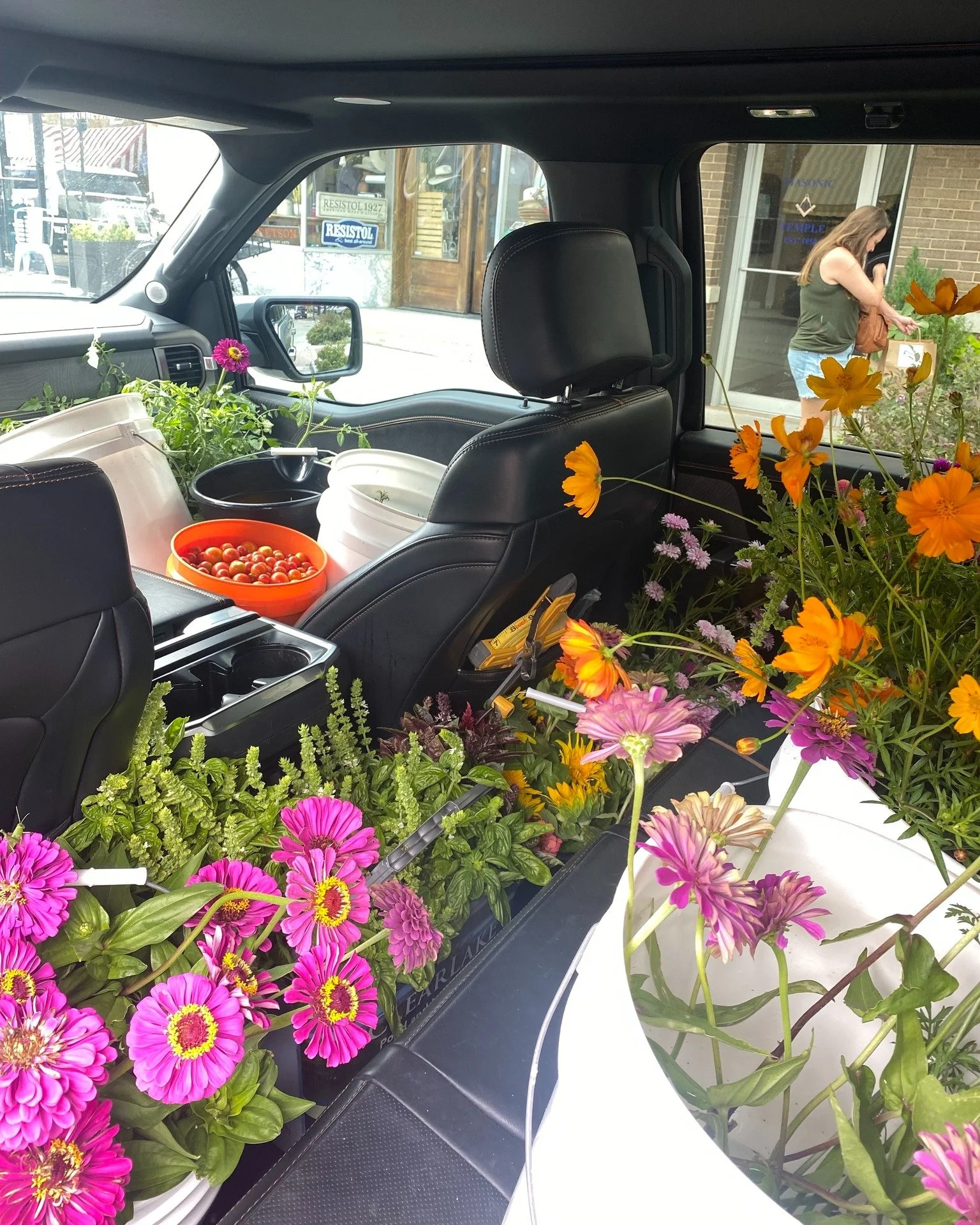 🌸🚚 Labor Day in full bloom! Our farm-fresh flowers are on the move, ready to bring a little sunshine to your long weekend. 
#labordayweekend  #farmfreshflowers  #harvestatthemasonic