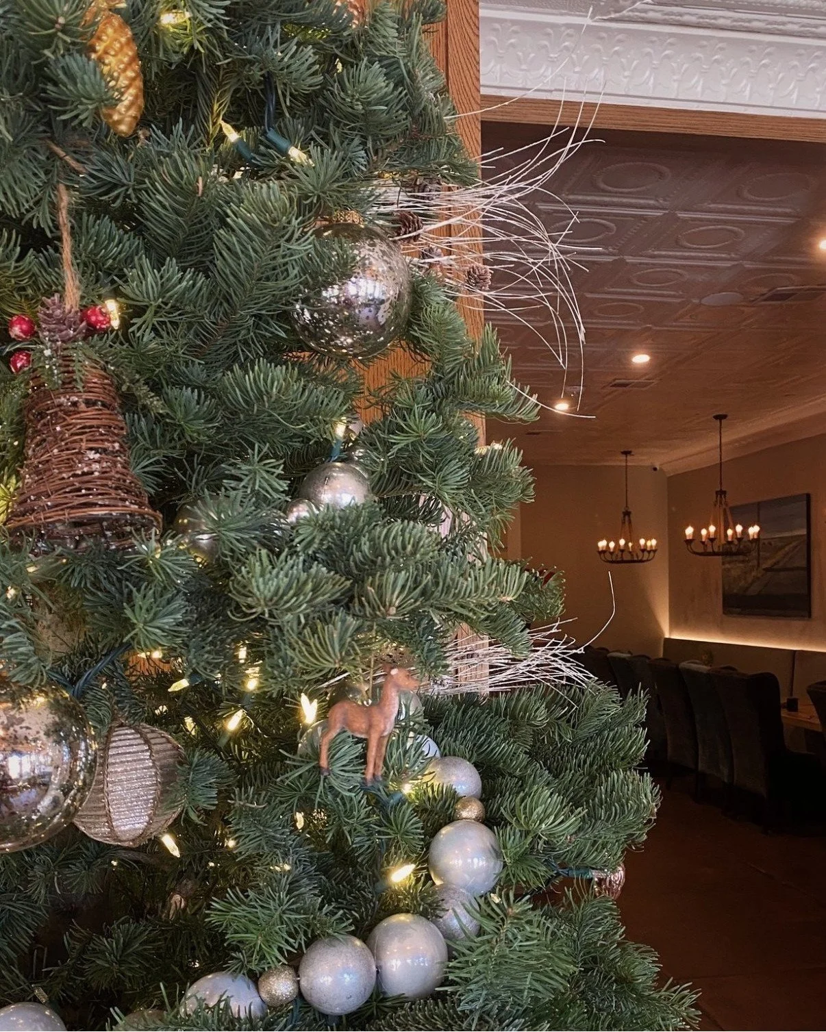 &rsquo;Tis the season for good food and great cheer! 🎅🍽️ Join us at Harvest for a festive dining experience you won&rsquo;t forget.

Reservations can be made by following the link in our profile!

 #harvestatthemasonic #McKinneyEats #farmtotable #v