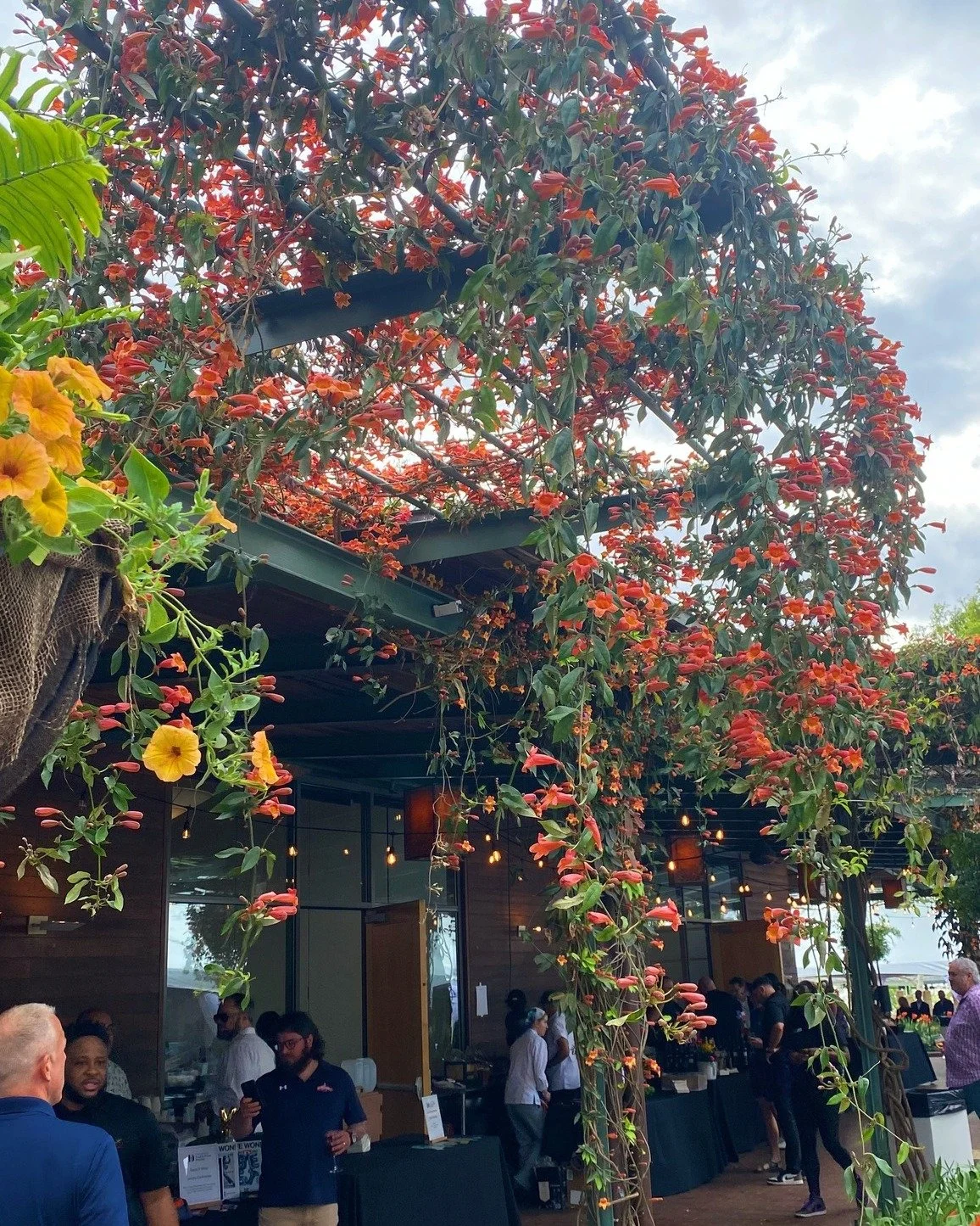 ✨ What a year it&rsquo;s been! ✨
From seasonal flavors to unforgettable gatherings, 2025 at Harvest has been full of warmth, community, and incredible memories.

We are grateful to all our guests, friends, and neighbors who made it possible. We can&r