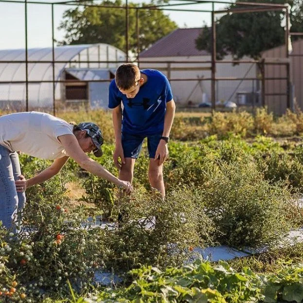 Our story blossomed in 2014 with a promise of taking the road less traveled: a genuine, unwavering commitment to invest in the community. We launched Harvest and the Seed Project Foundation with the understanding that if you spend a dollar locally, 7
