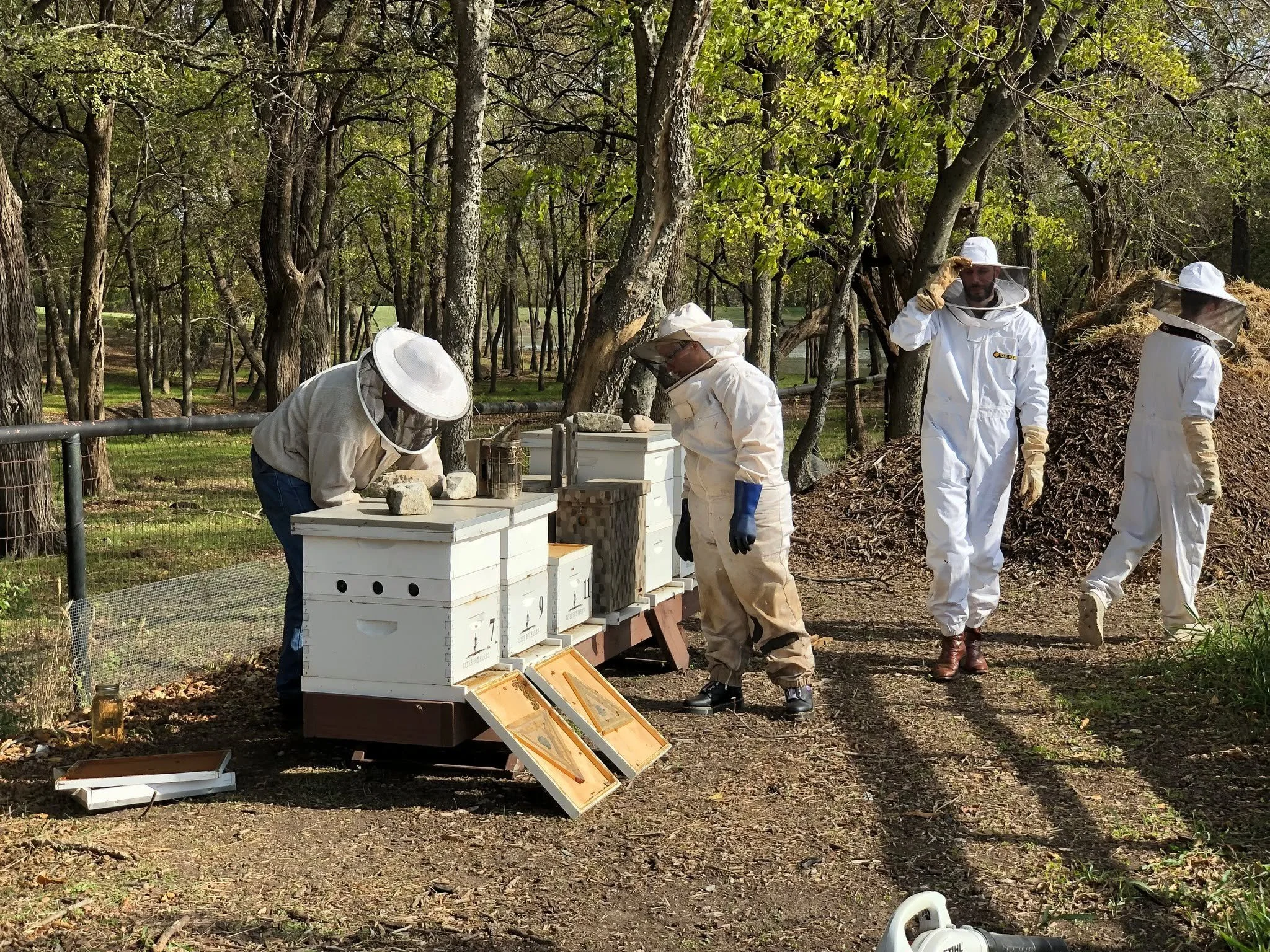 Bee kind 🐝
Dreaming of sunnier days at the farm!
Did you know most of the honey we use at the restaurant comes from our own hives at Water Boy Farms in Lucas❓

Call us at (214) 726-0251  for reservations!

 #farmtotablefood #farmtotable #downtownmck