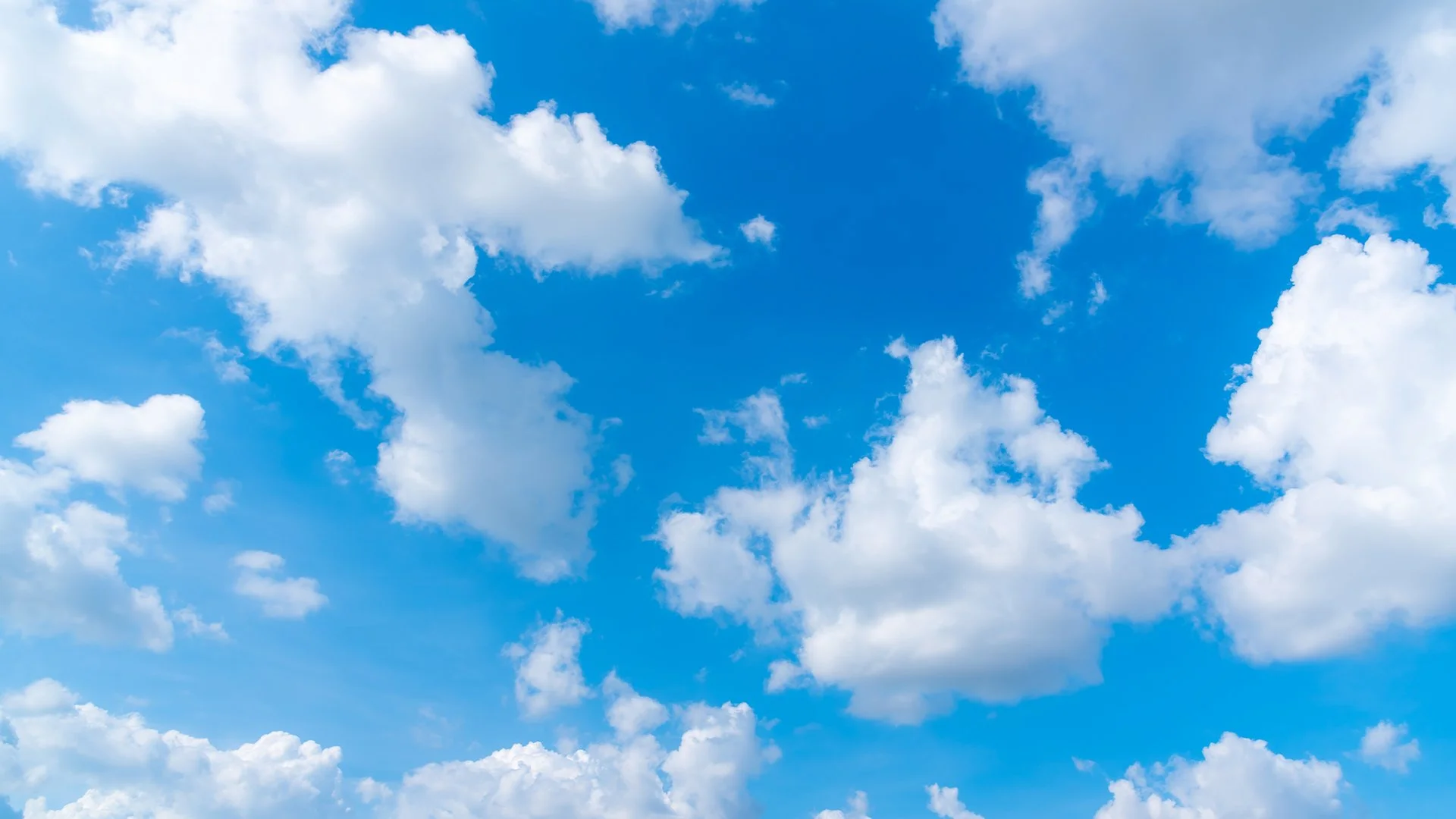 Mr. Blue Sky