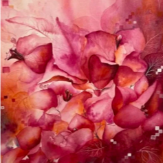 Picture2.png