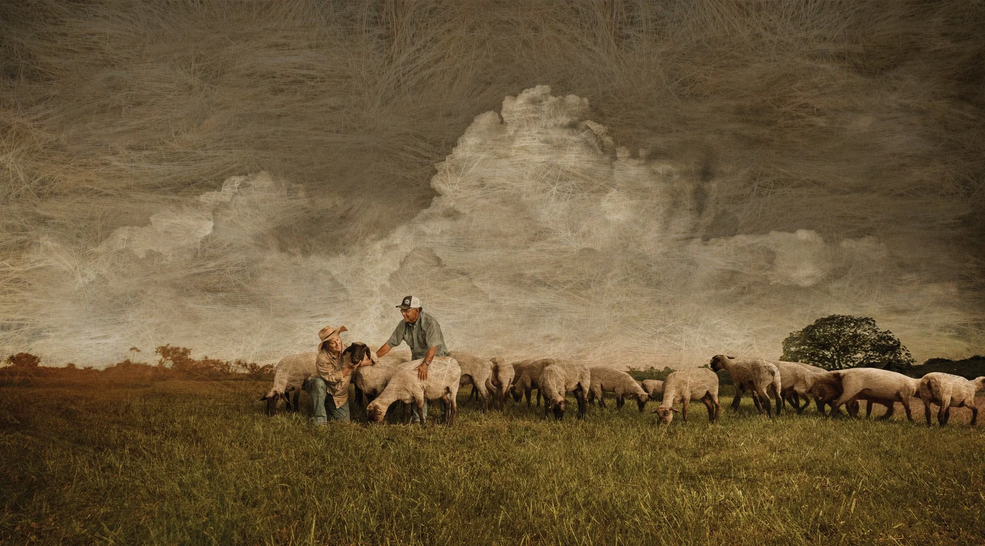 Farmers herding sheep in a grassy field under a cloudy sky.