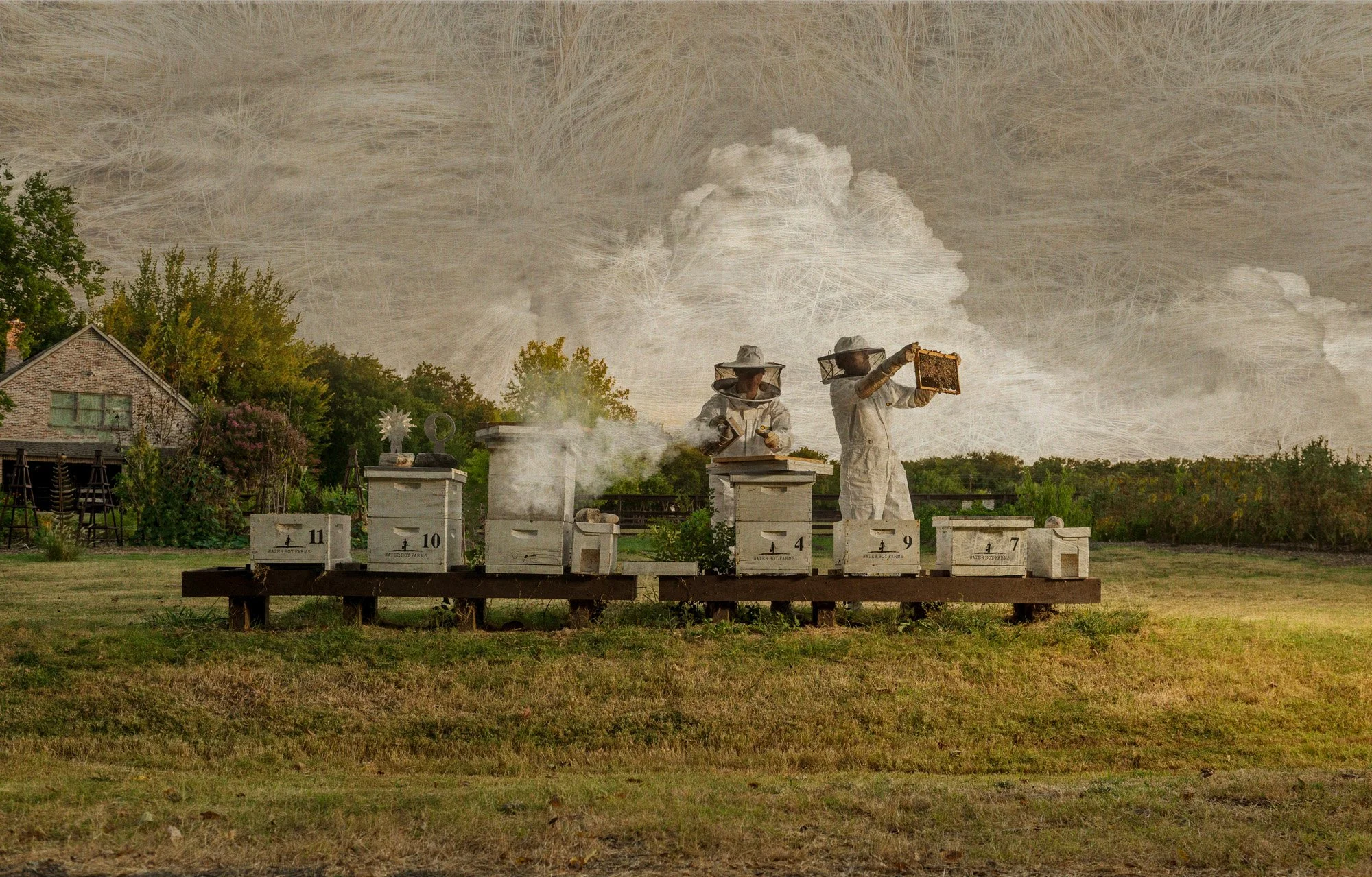 Three beekeepers in protective suits tending to beehives in a field, with a house and trees in the background, and a cloudy sky overhead.