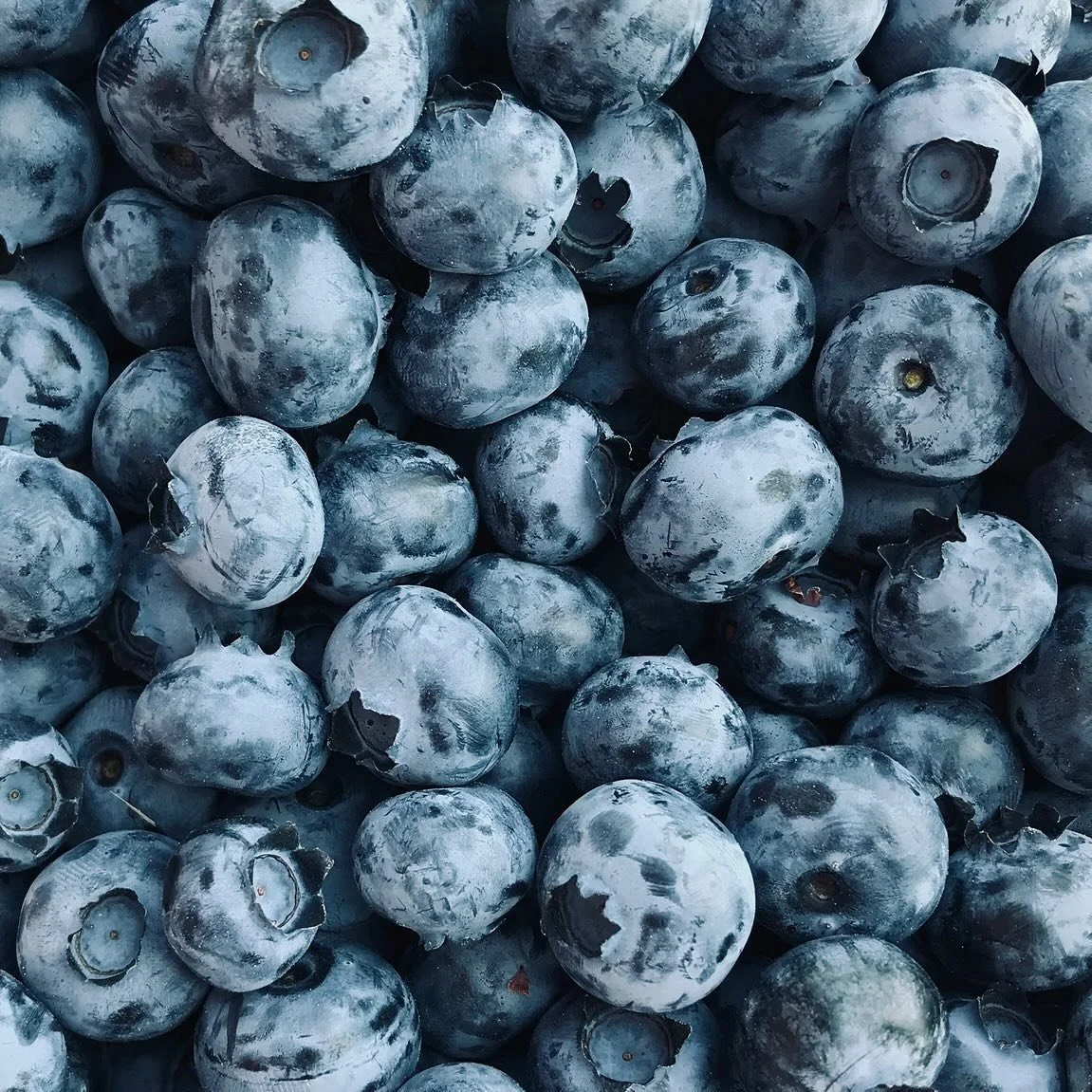 🫐 What&rsquo;s fresh at the co-op: Organic blueberries, strawberries, seedless grapes, asparagus, brussel sprouts, spinach, sweet potatoes, heirloom tomatoes and more!

🍞 Stock up on fresh Schaefer Bakehaus sourdough bread, sandwich bread, scones a