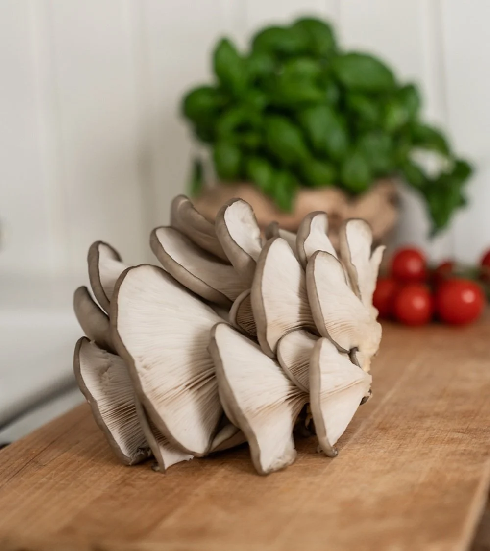 Mushrooms R d G rd Fungi