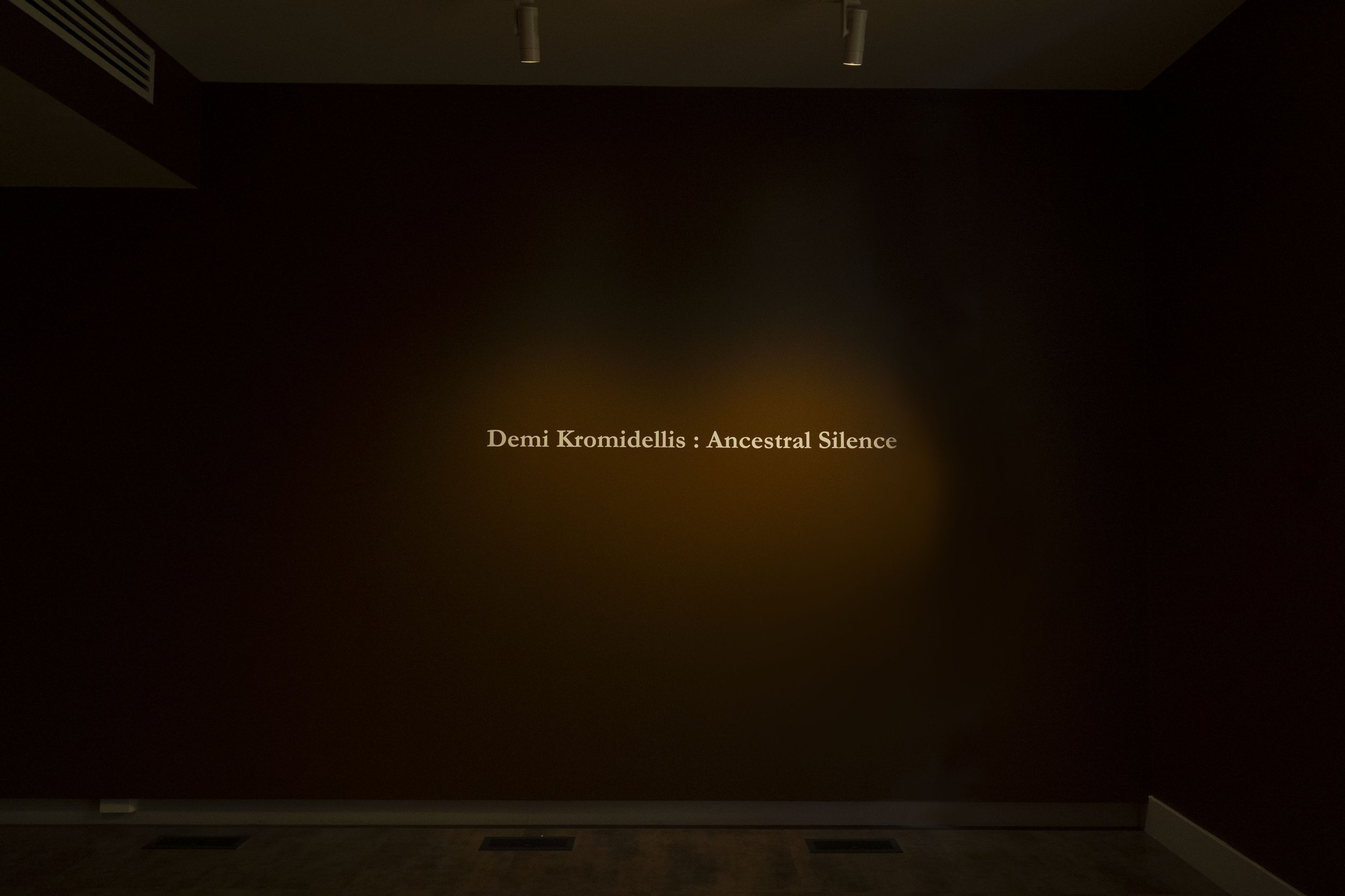 edited ancestral silence install-4 copy 2.jpg