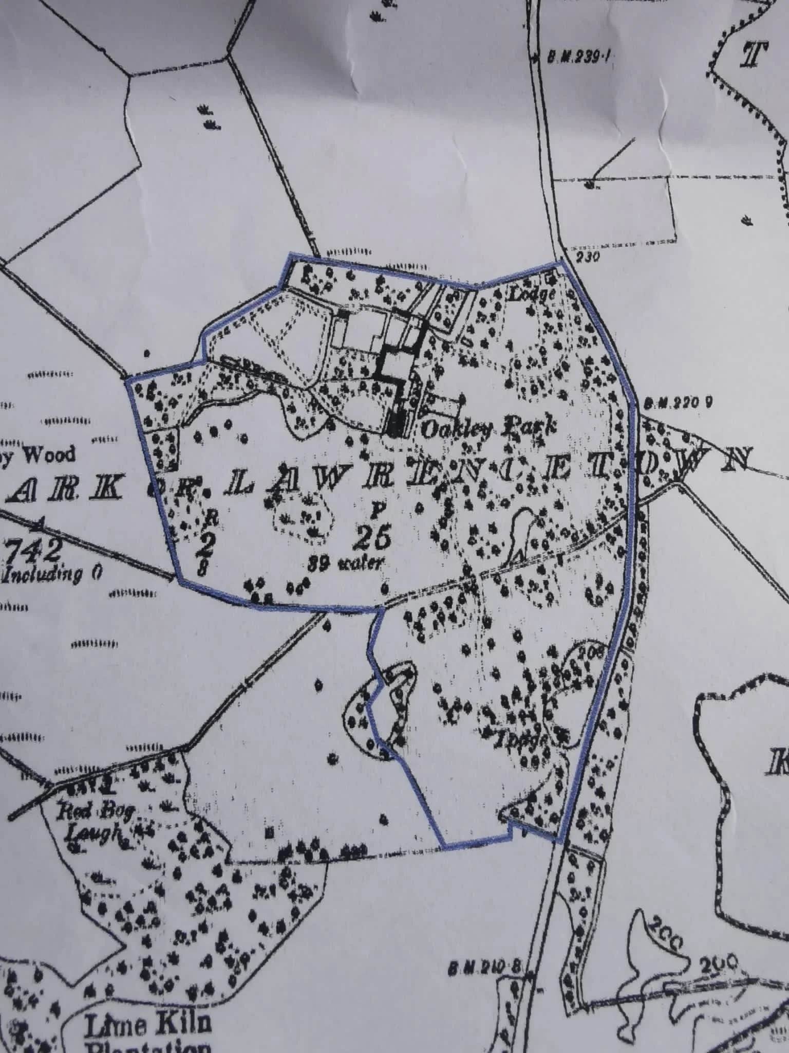 The hundreds of oak trees planted at Oakley 200 years ago
