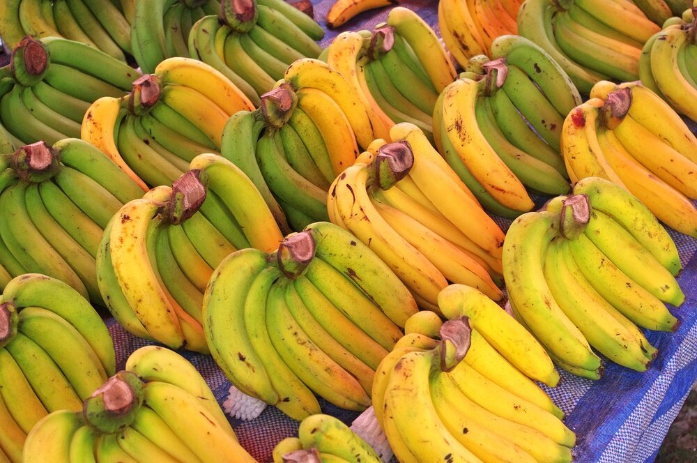 New Uses For Old Bananas