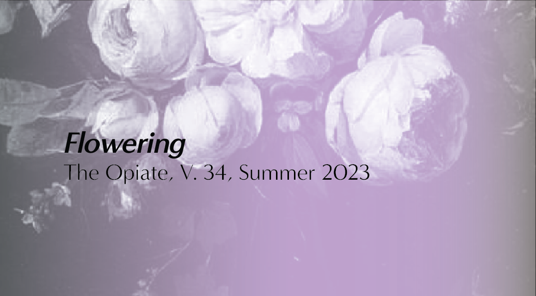 Artboard 25 copy.png