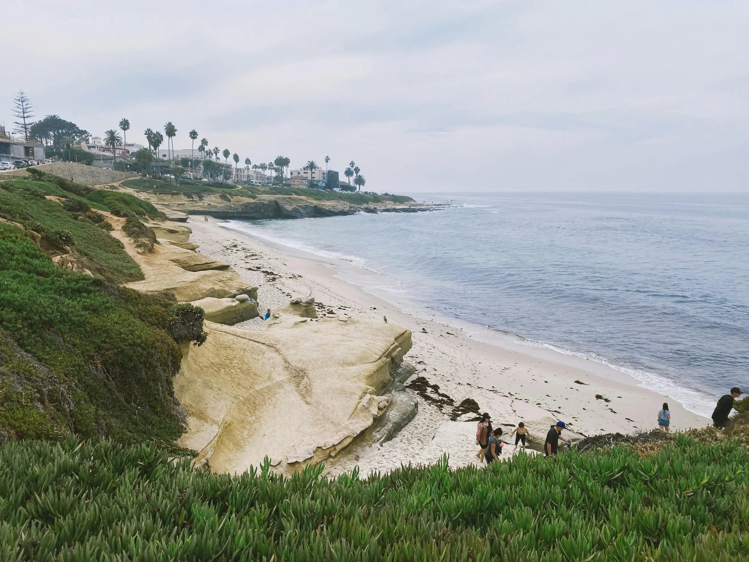 Creative Direction: Storytelling Video