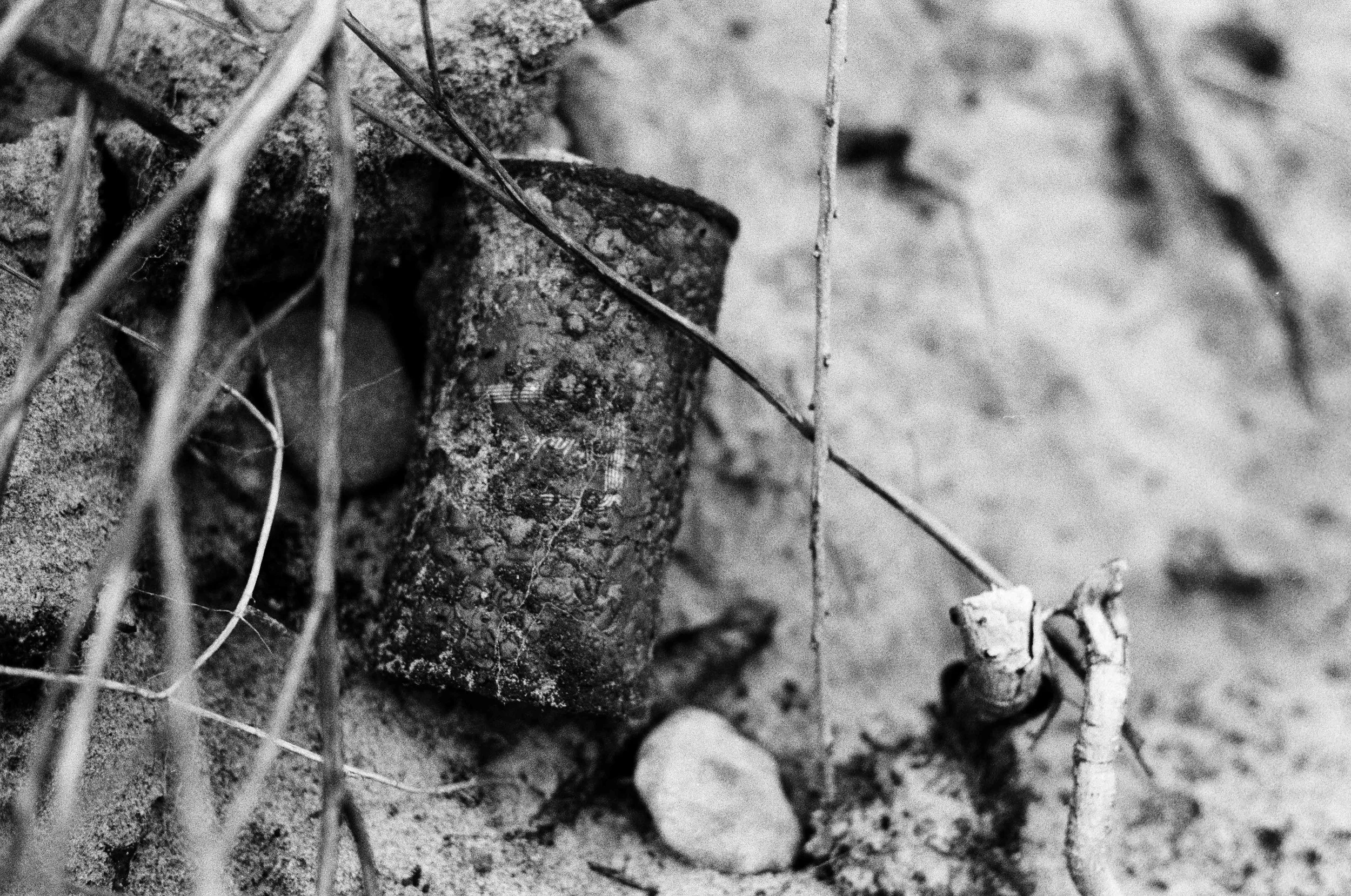 Discarded at the Point.jpg