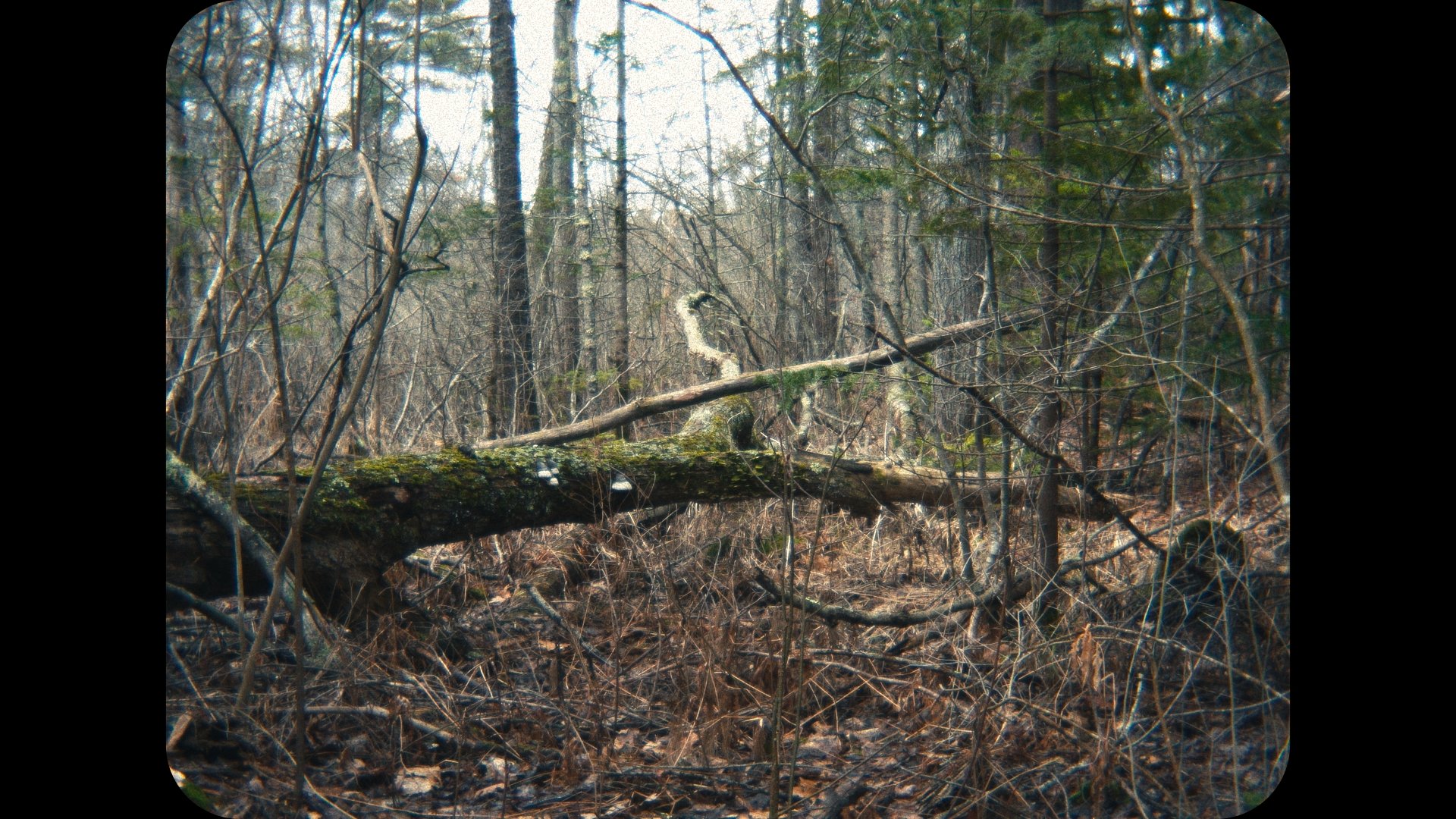 Timeline 1_01_00_20_21.jpg