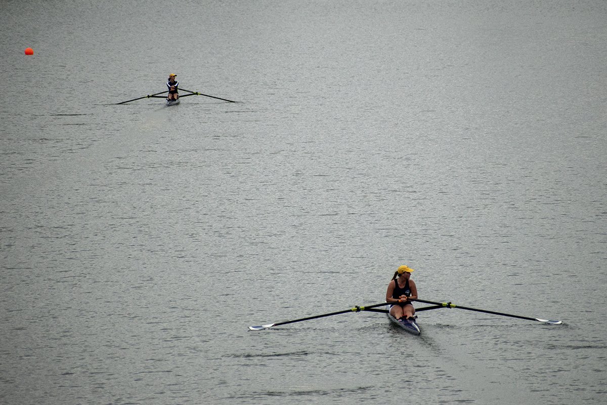Sculling 3.jpg