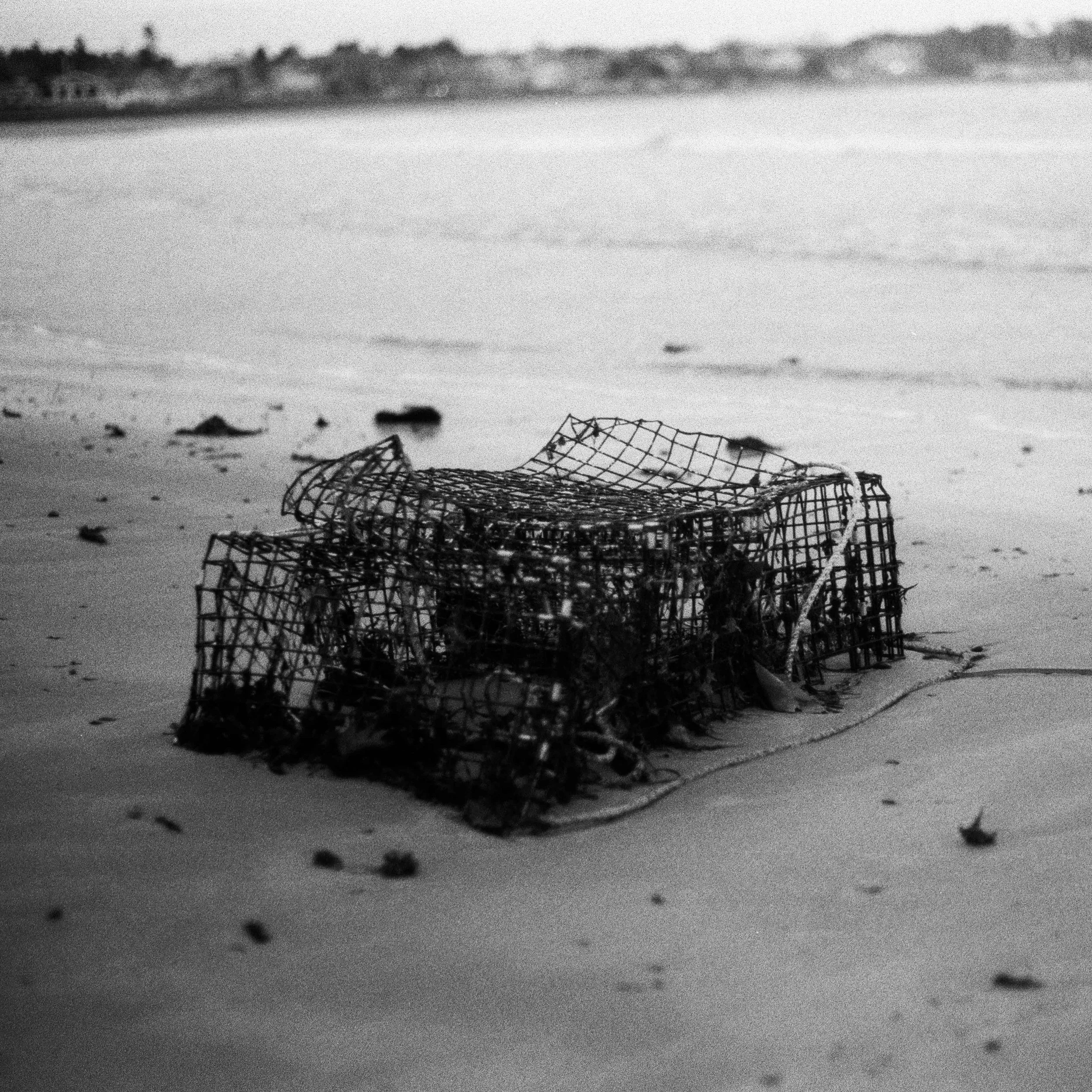 What's Left of a Lobster Trap.jpg