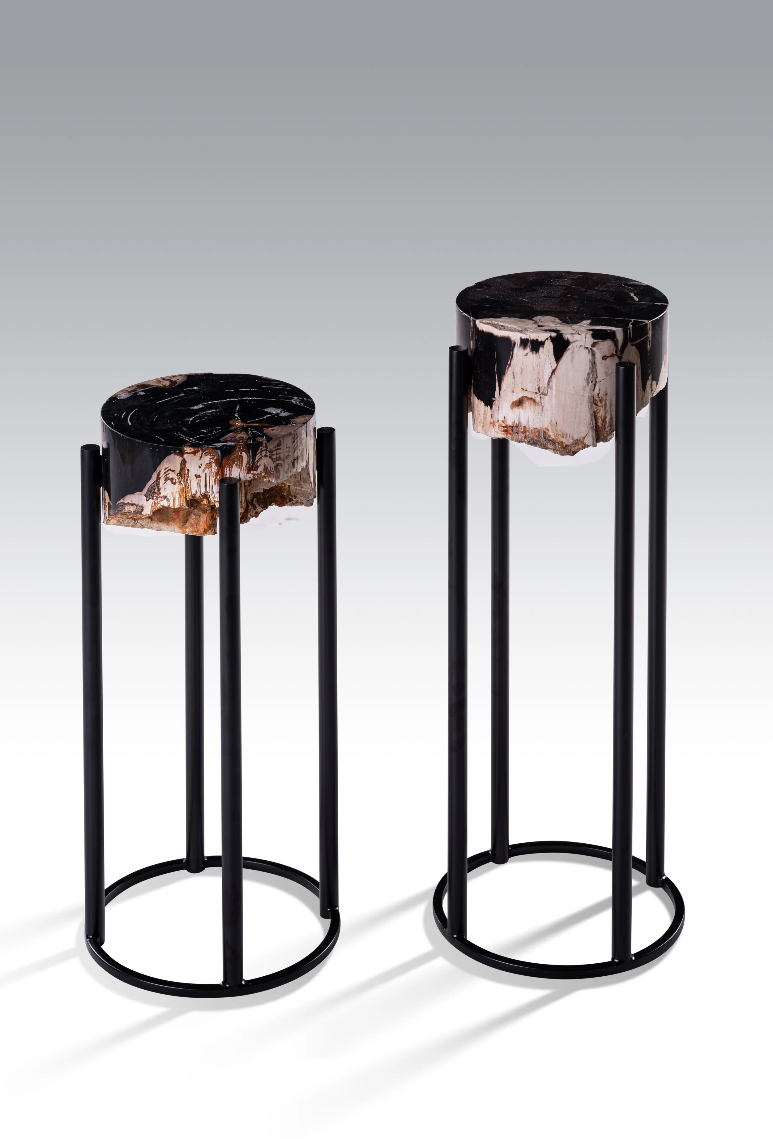 Petrified Wood — Woodbrook