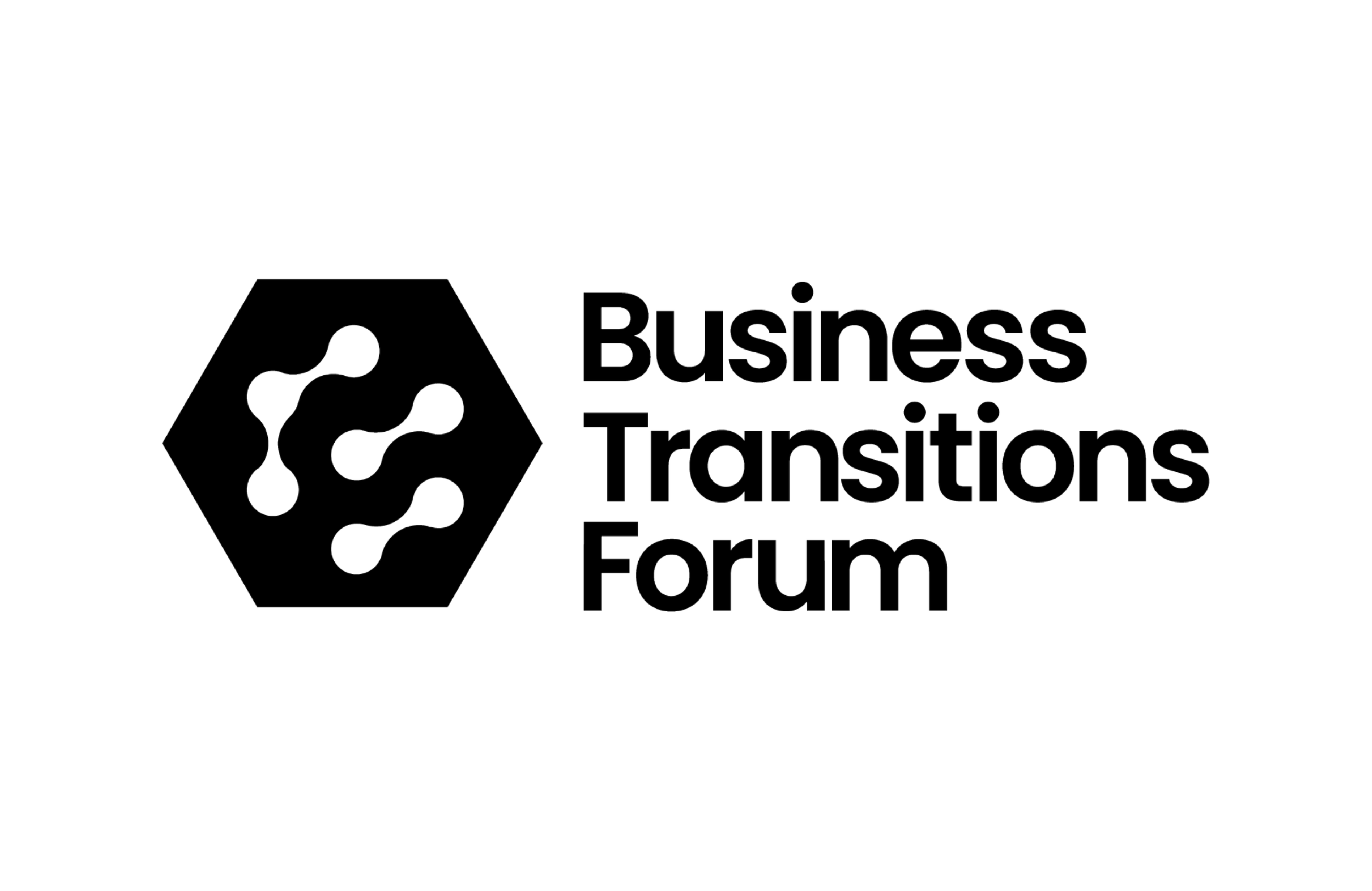 Business Transitions Forum Logo