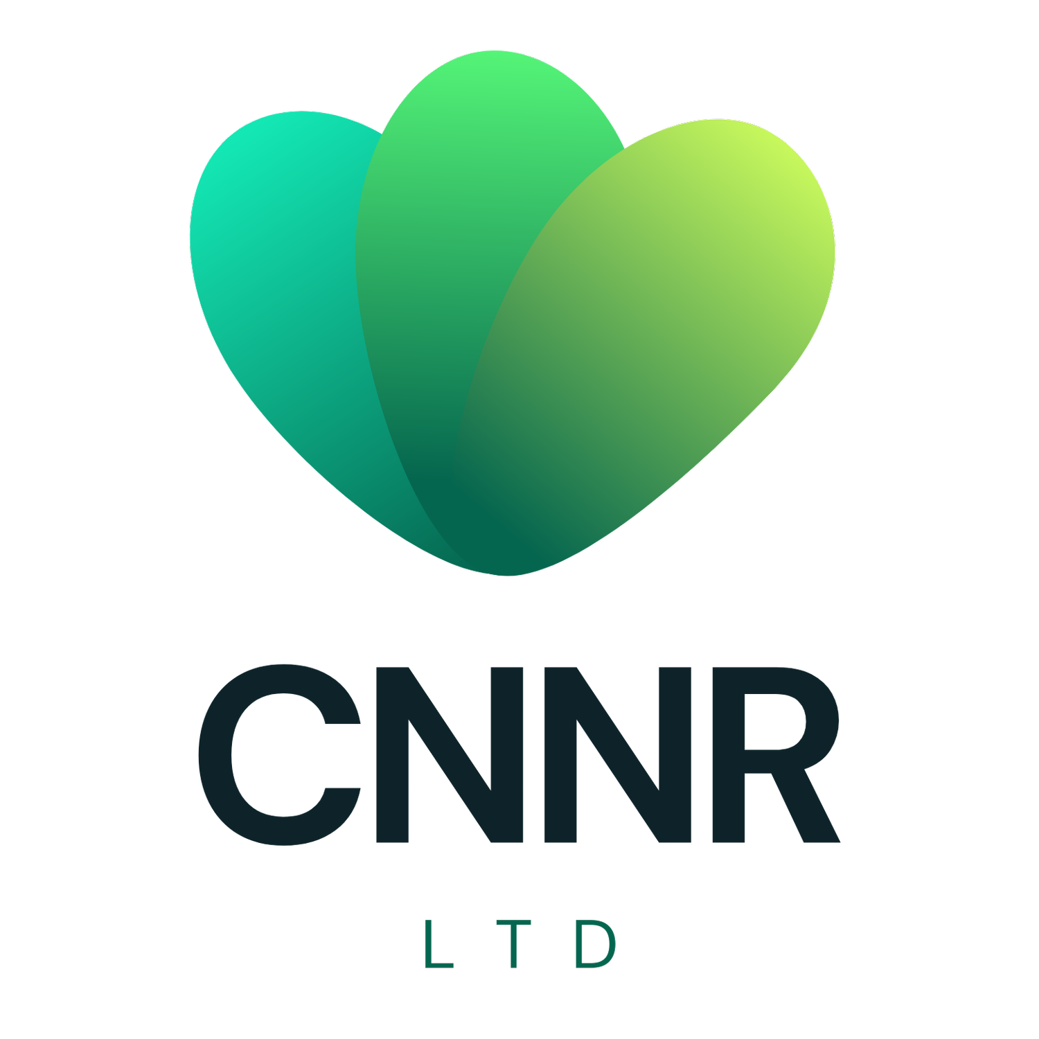 CNNR LTD: Pioneering Creative Solutions and Transformative Business Coaching