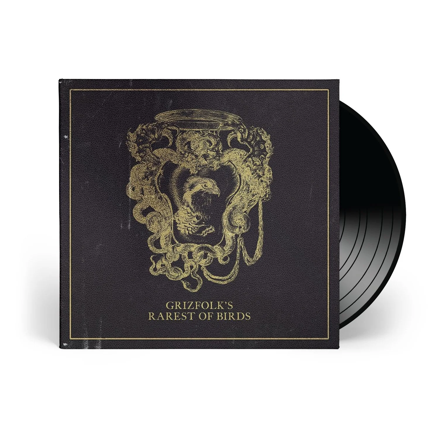 'Rarest of Birds' – 12" Vinyl (Unsigned cover jacket)