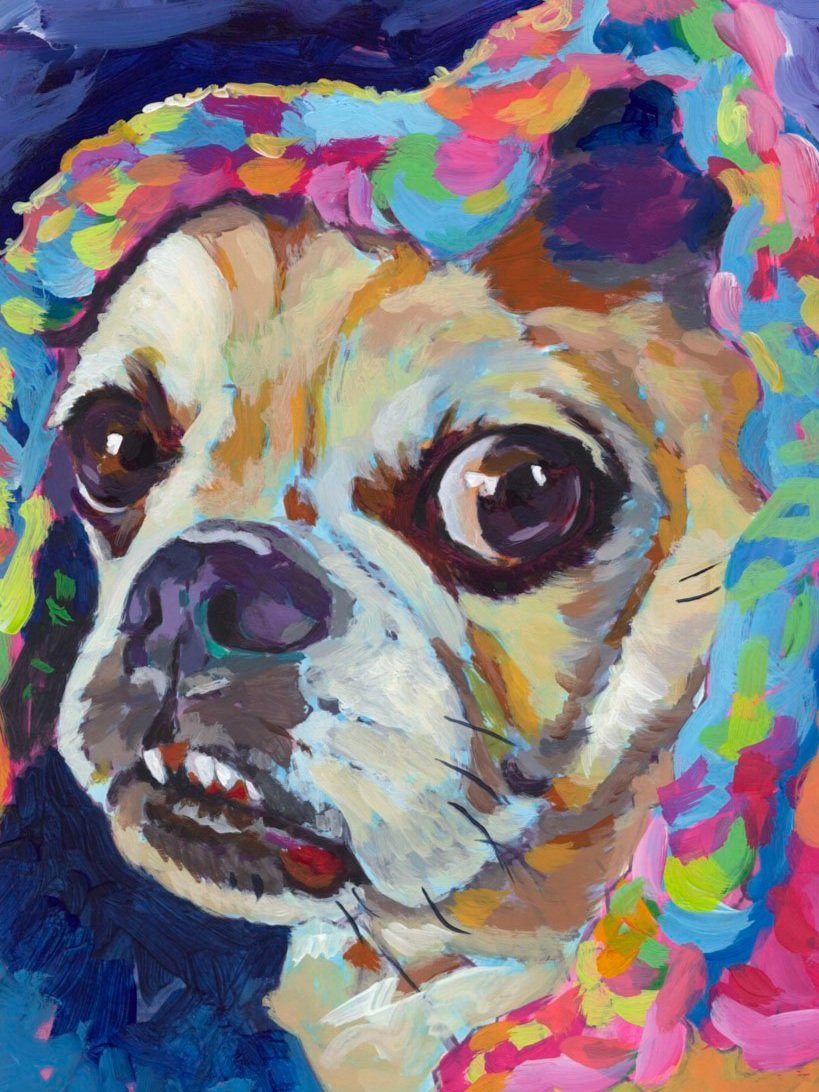day+4+funny+february+puggle+under+blanketfor+web.jpg