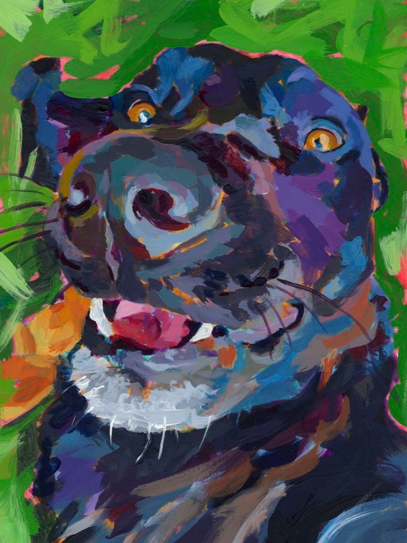 day+20+funny+february+black+labrador+dog+with+leaf+in+mouthfor+web.jpg