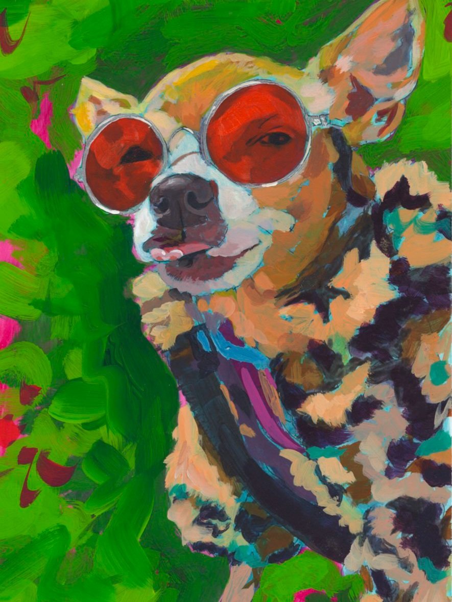 day+1+funny+february+chihuahuafor+web.jpg
