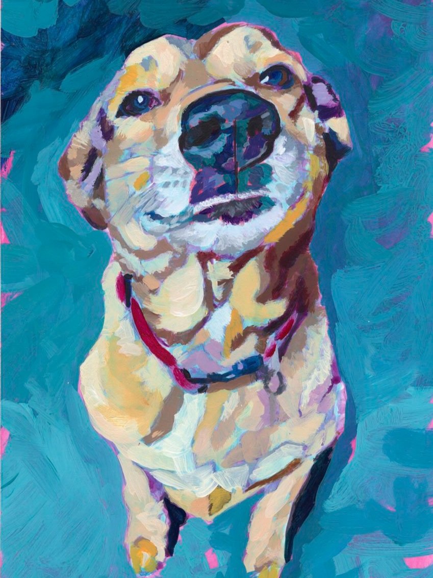 day+12+happy+dog+looking+cutefor+web.jpg