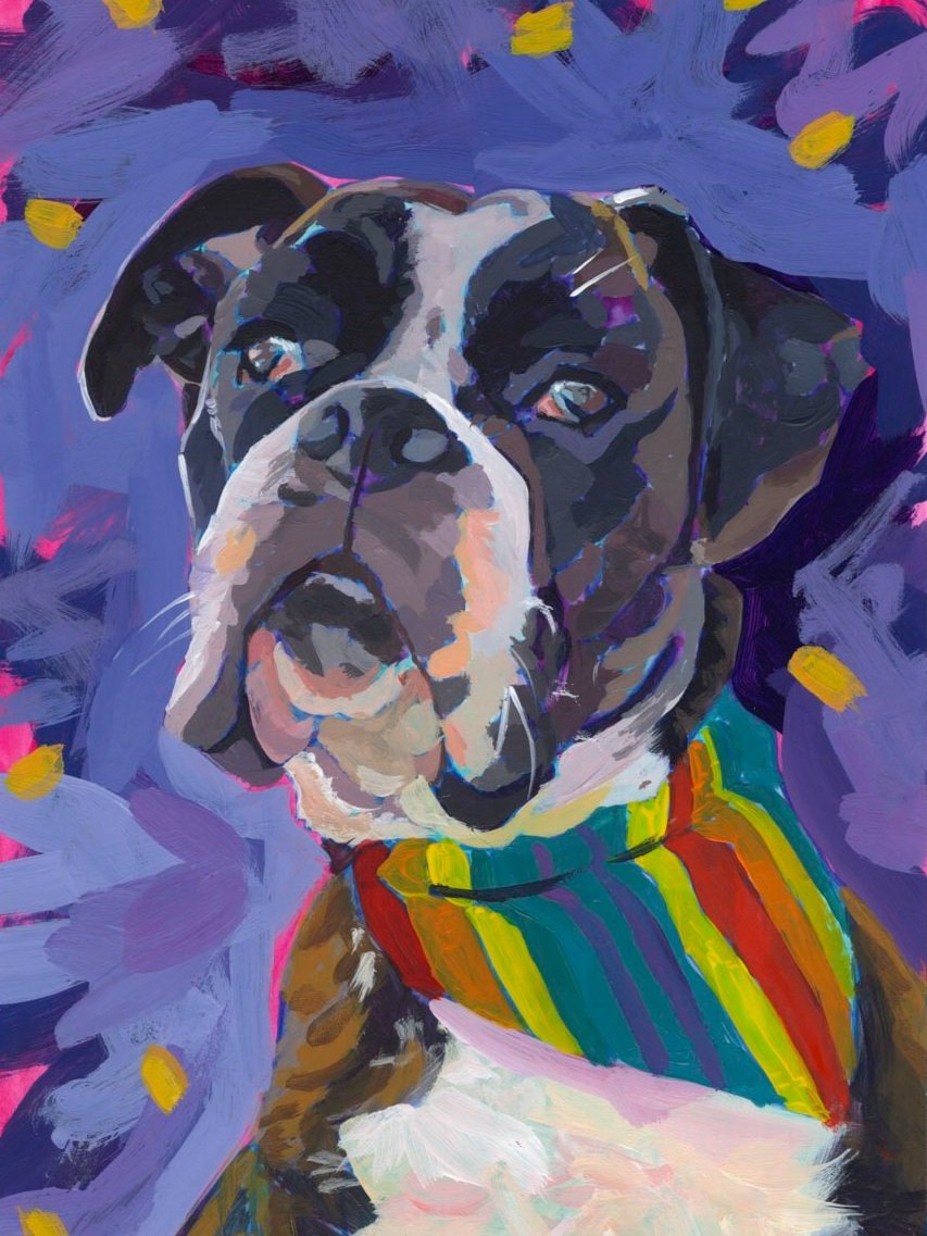 day+24+funny+february+boxer+dog+looking+both+waysfor+web.jpg