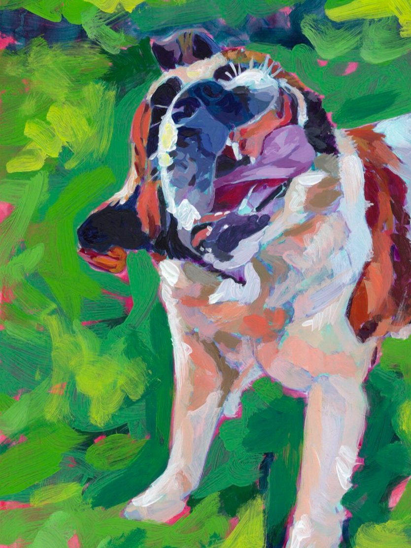 day+22+funny+february+shaggy+st+bernard+dog+shakingfor+web.jpg