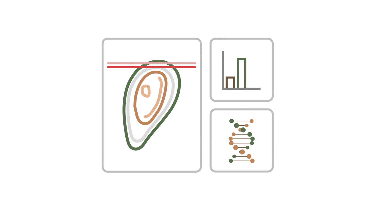GSM Science Gif_4.gif