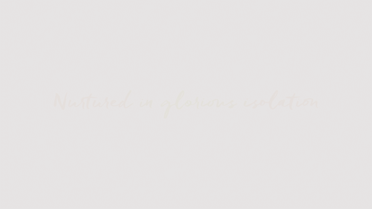 BGB Brand Line 2.gif