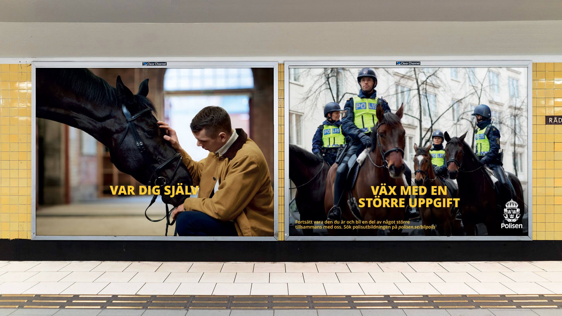 pasted-image.jpg