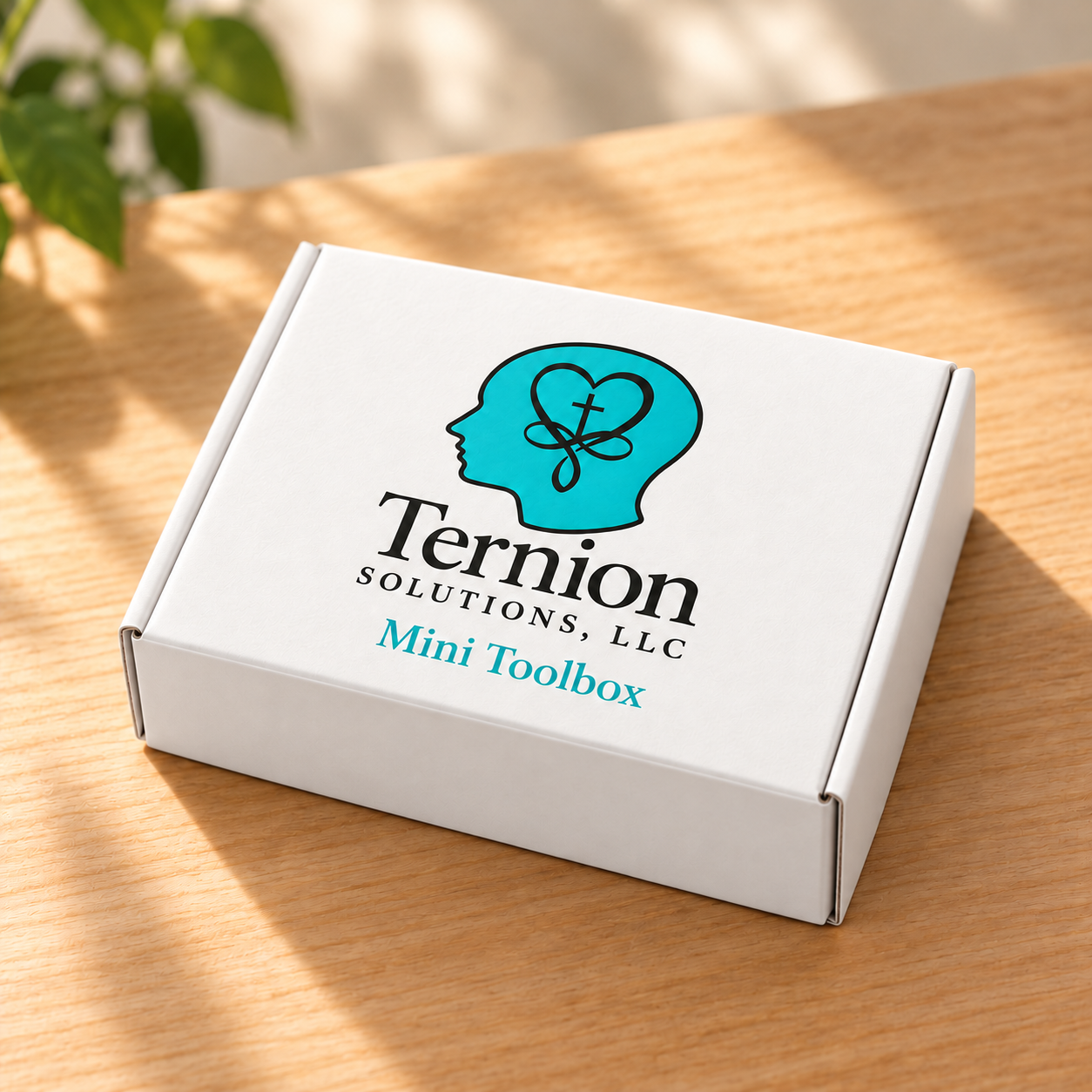 White Mini Toolbox with Turquoise Logo.png