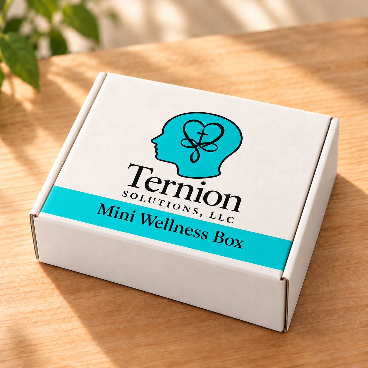 Mini Wellness Box with turquoise banner.png