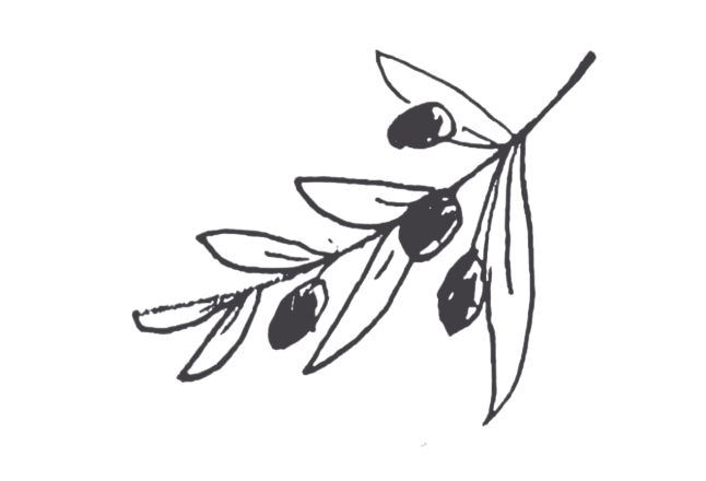 Line drawing of an olive branch with leaves and olives.