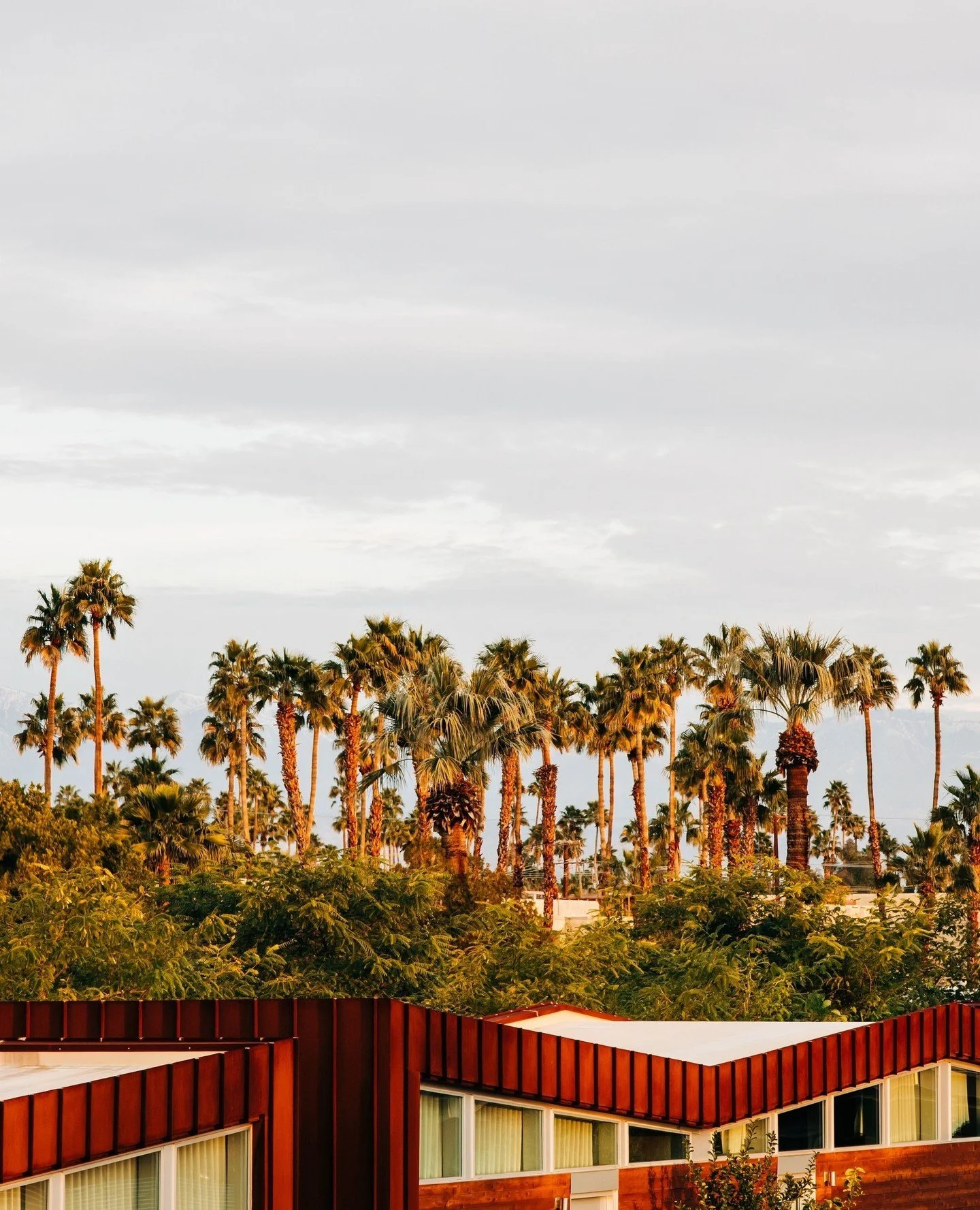 Poolside drinks are calling your name. 🍹