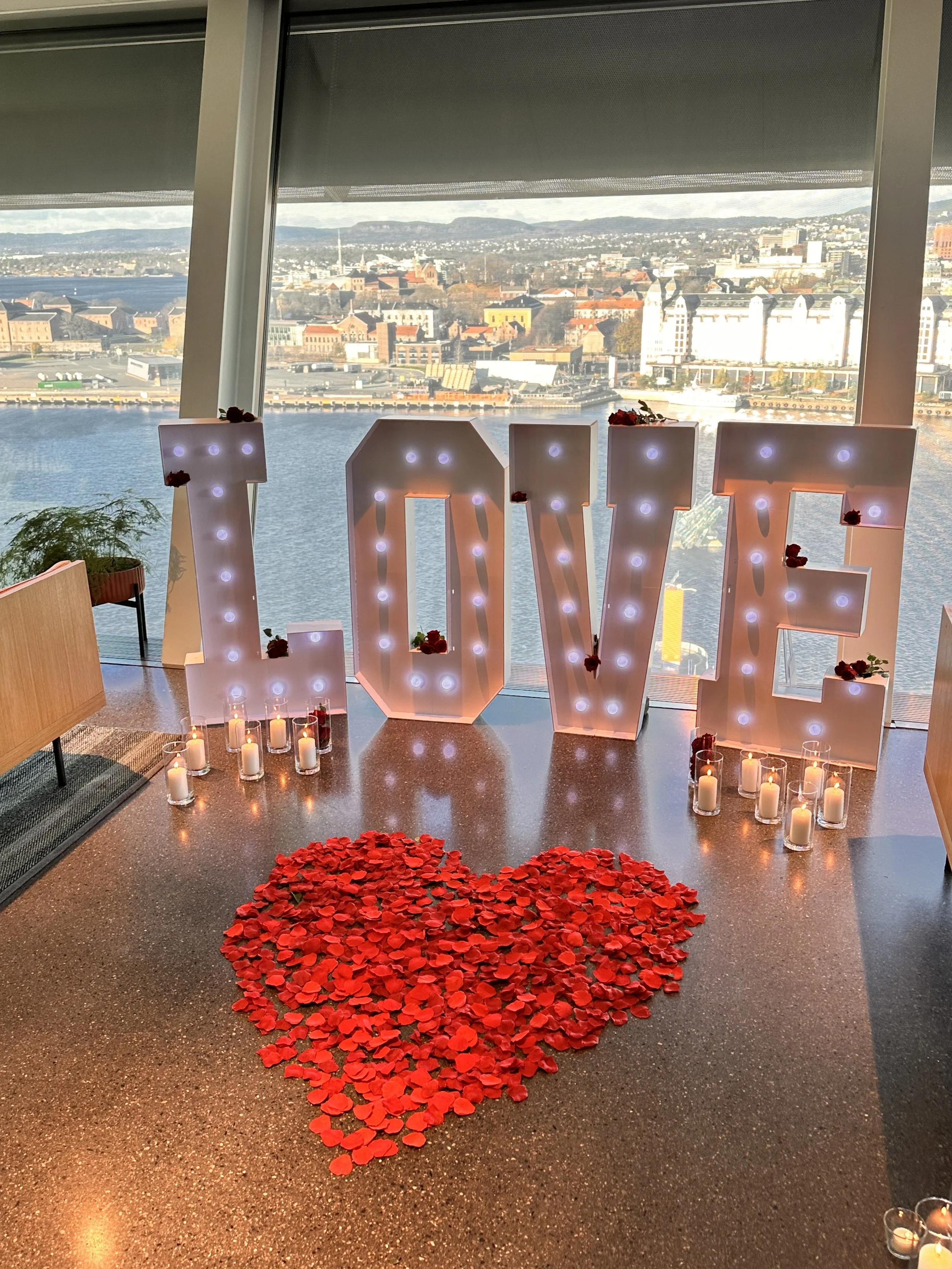 Proposal in Norway.jpg