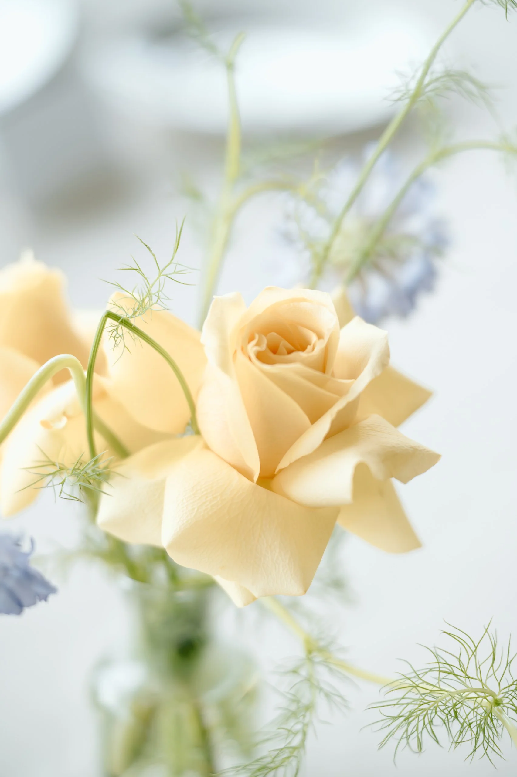 novasoulphotography-352.jpg